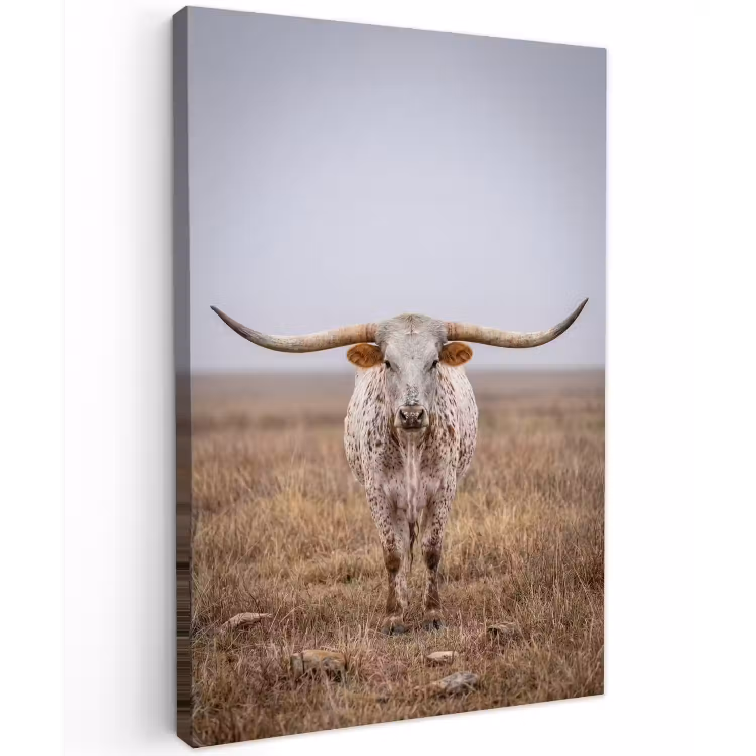 Longhorn - Grasveld - Dier Tuinposter op houten frame 2 cm dik klein -3d