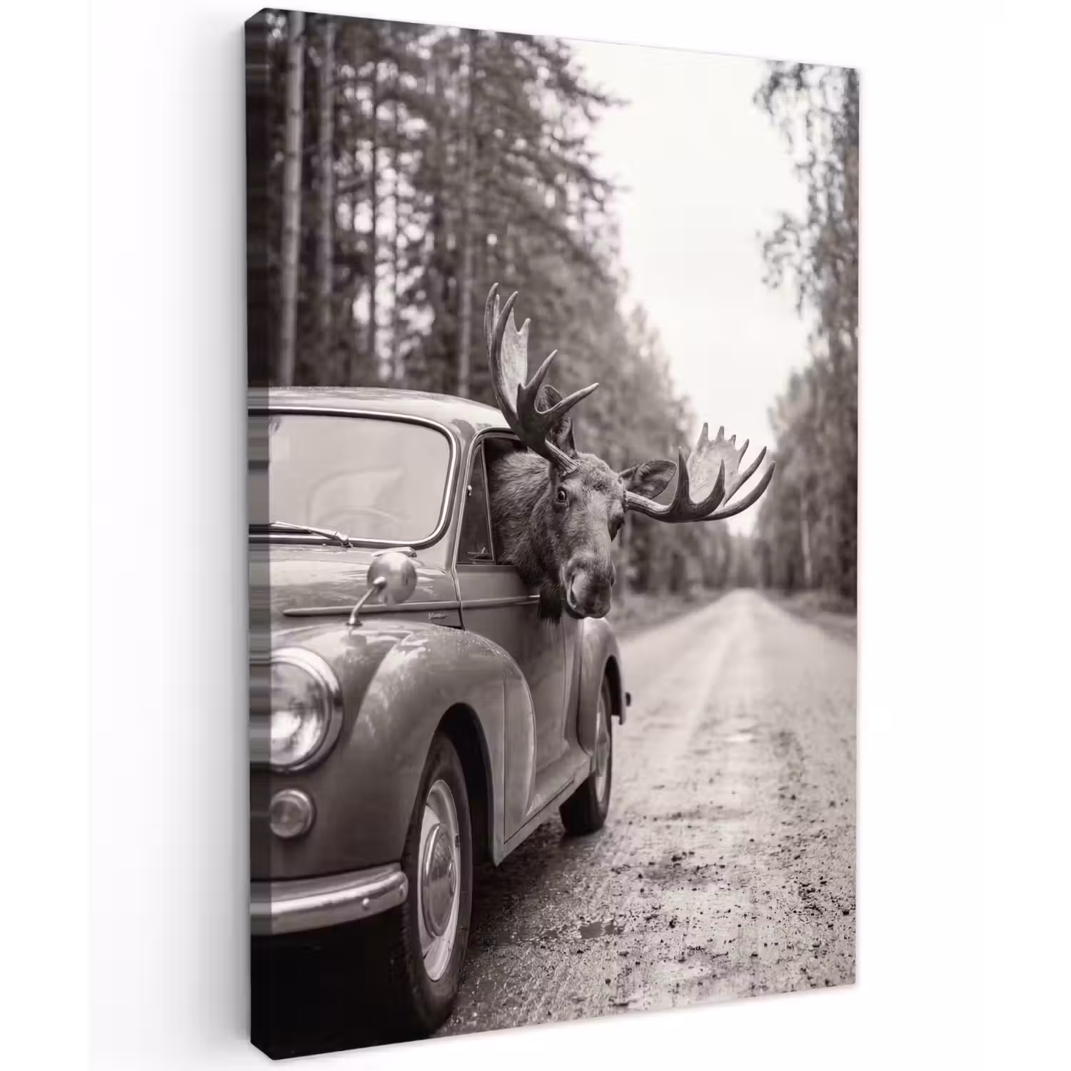 Eland - Auto - Gewei - Zwart - Wit Tuinposter op houten frame 2 cm dik klein -3d
