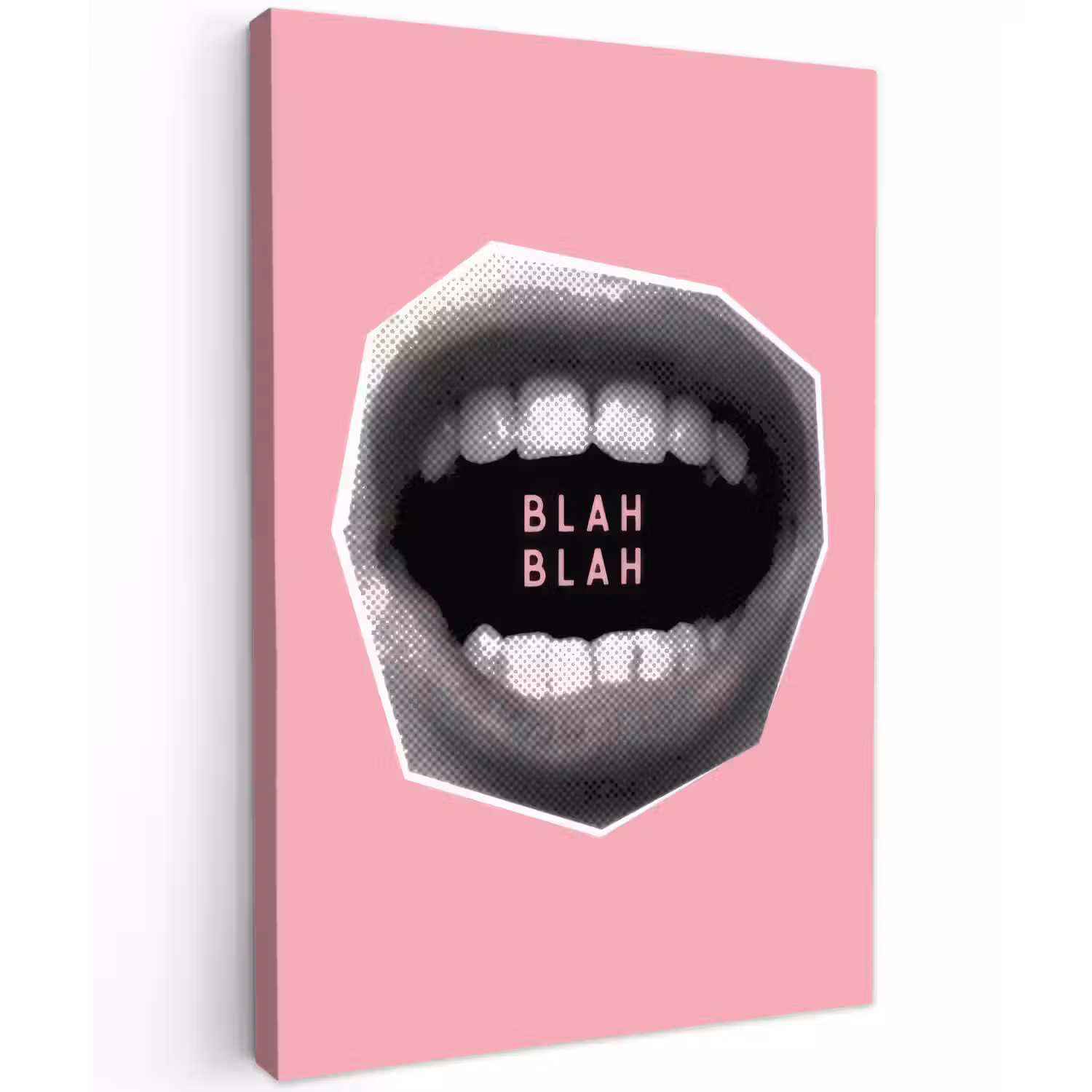 Mond - BLAH BLAH - Roze Tuinposter op houten frame 2 cm dik klein -3d
