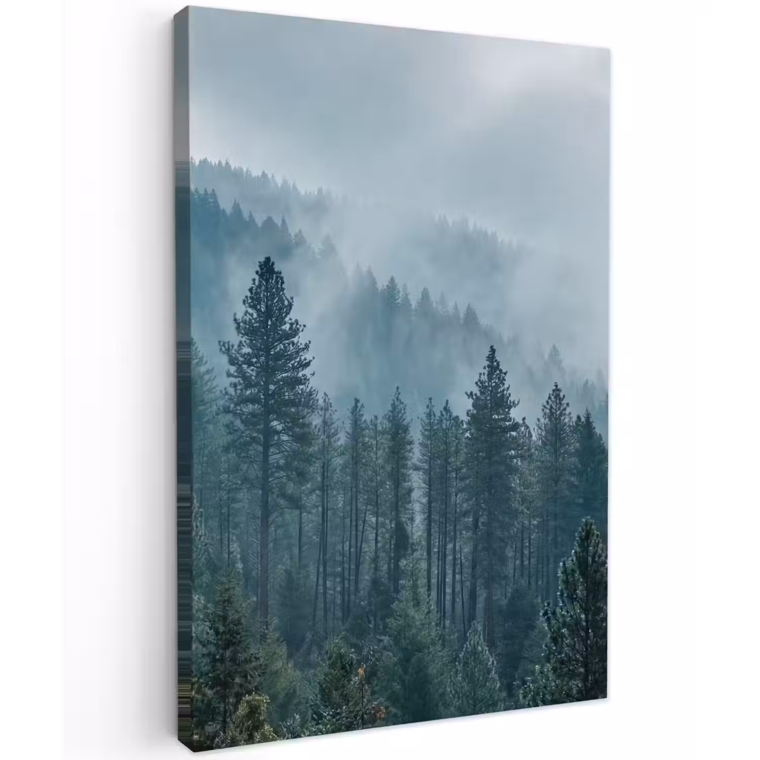 Naaldwoud - Bergen - Mist Tuinposter op houten frame 2 cm dik klein -3d