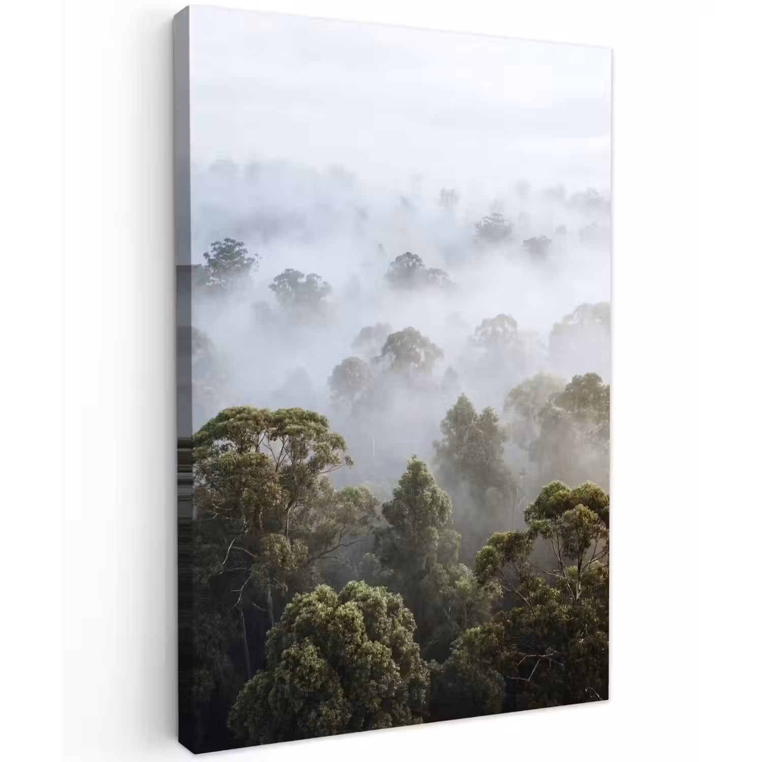 Natuur - Mist - Bos - Ochtend - Goud Tuinposter op houten frame 2 cm dik klein -3d