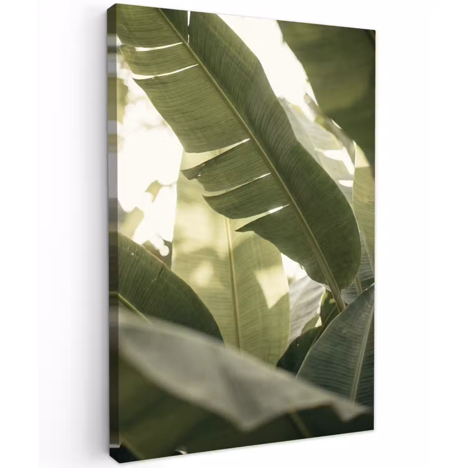 Natuur - Bladeren - Groen - Tropisch - Detail Tuinposter op houten frame 2 cm dik klein -3d