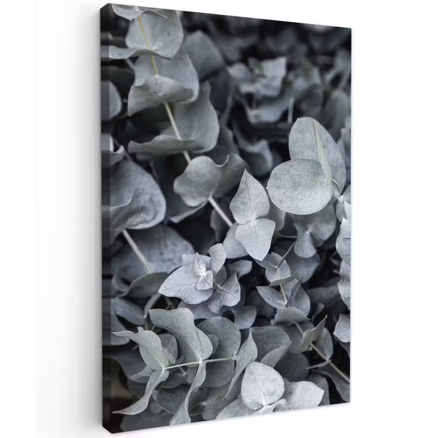 Natuur - Planten - Eucalyptus - Bladeren Tuinposter op houten frame 2 cm dik klein -3d