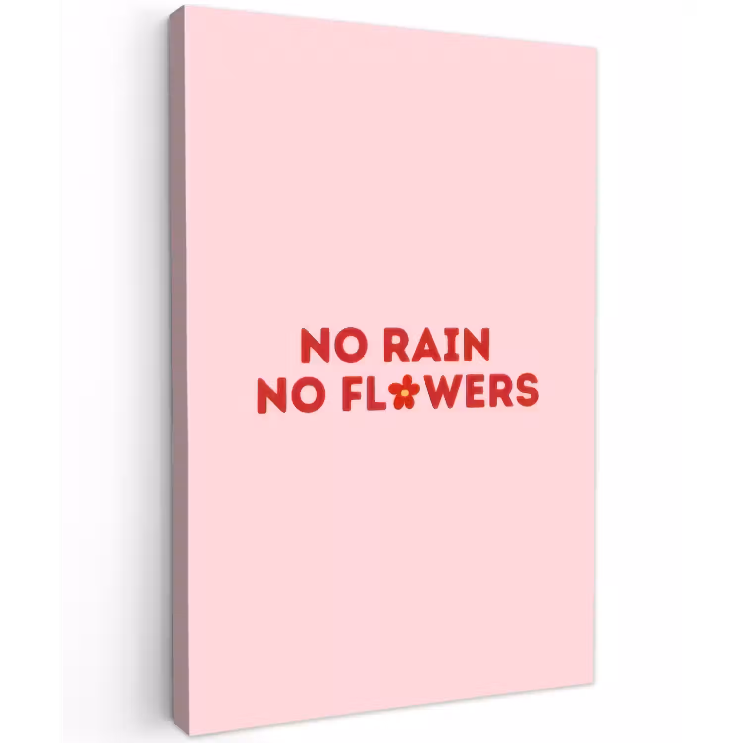 No rain no flowers - Minimalistisch - Roze - Bloem Tuinposter op houten frame 2 cm dik klein -3d