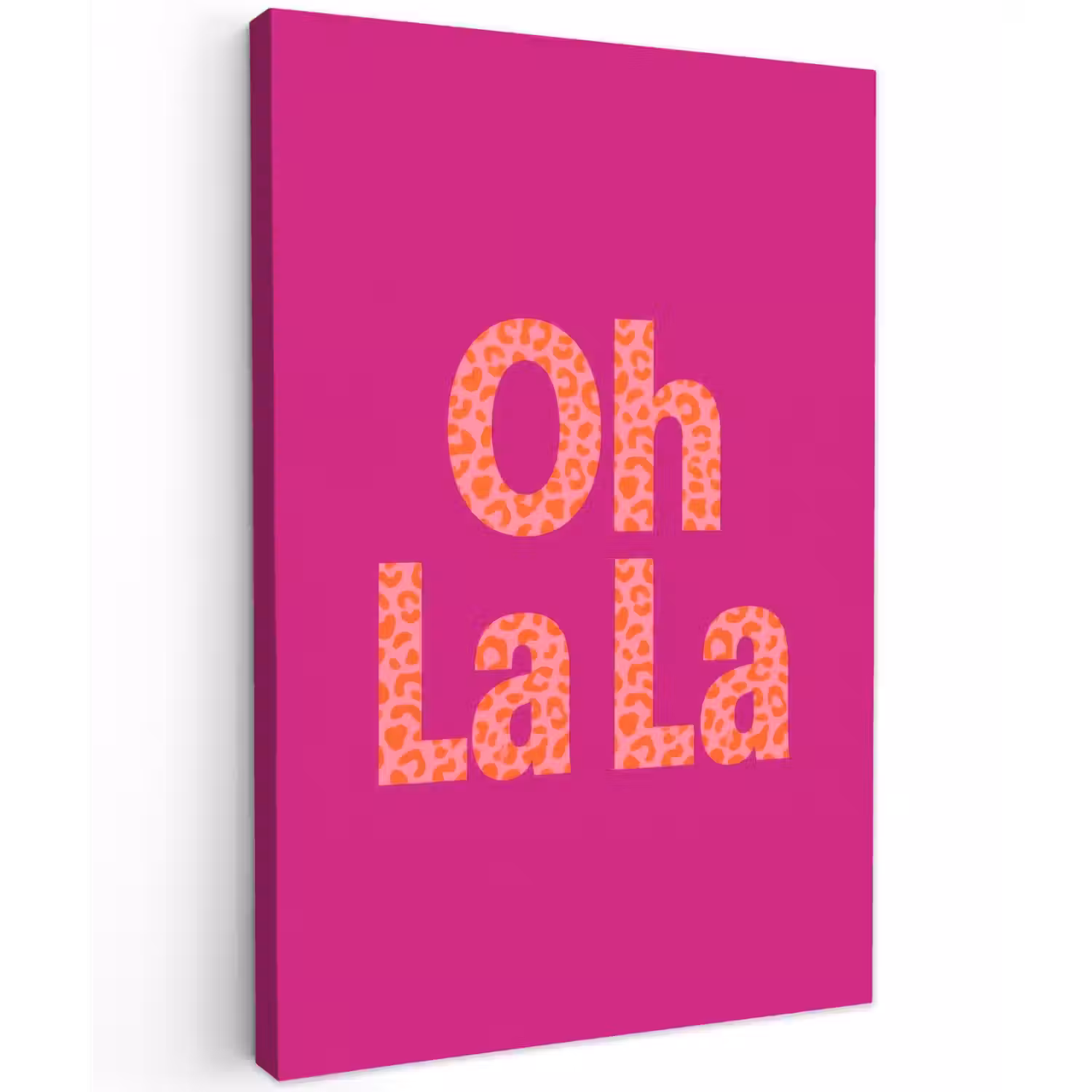 Oh la la - Luipaardprint - Roze Tuinposter op houten frame 2 cm dik klein -3d