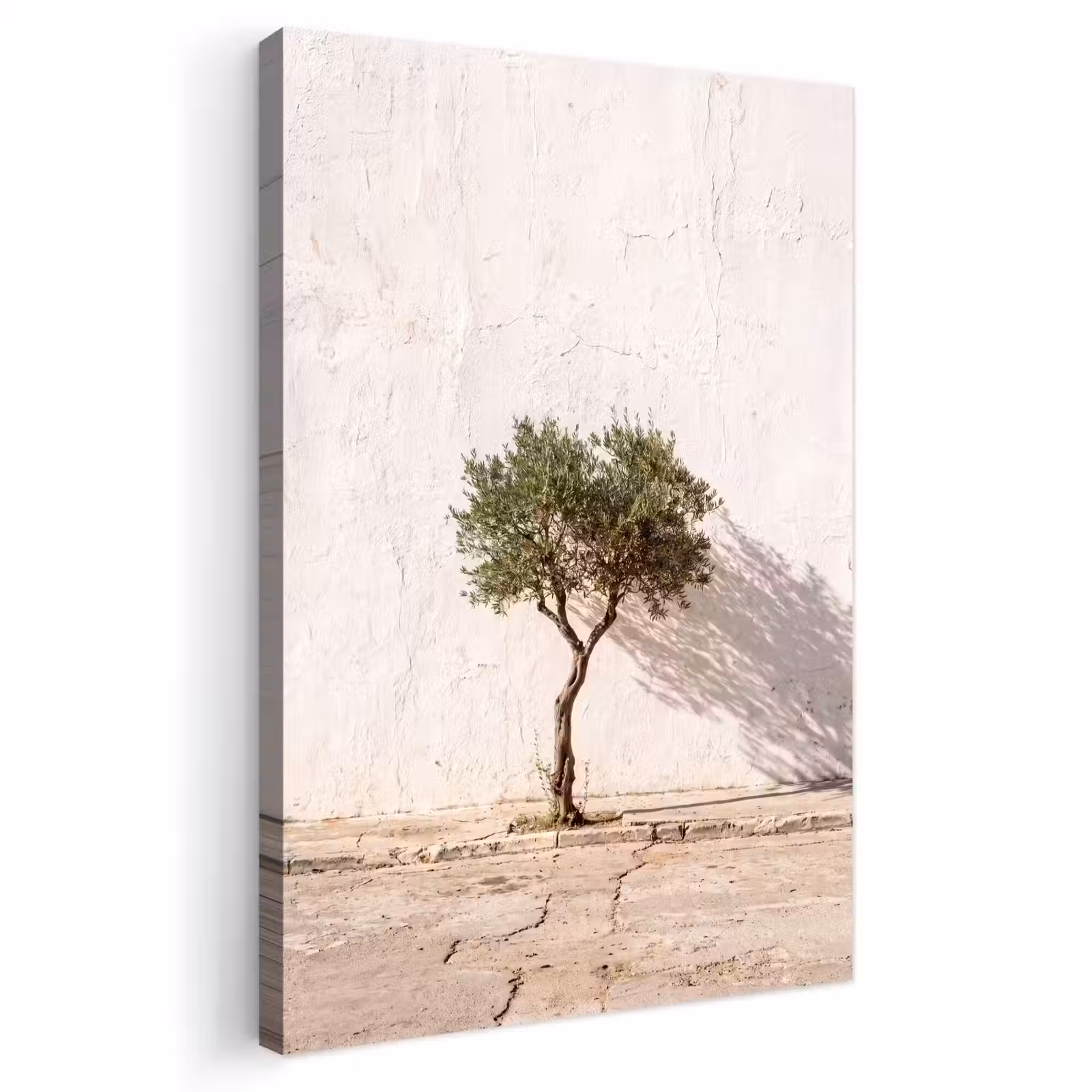 Outdoor Canvas Print - Olive Tree - Wall - White - Olijfboom - muur - wit Tuinposter op houten frame 2 cm dik klein