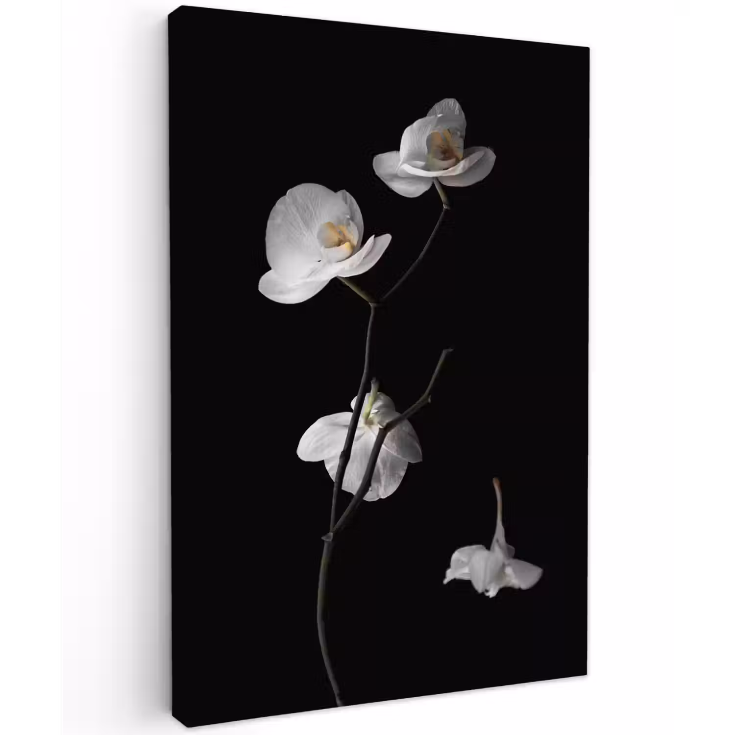 Orchidee - Bloemen - Zwart - Wit - Stilleven Tuinposter op houten frame 2 cm dik klein -3d