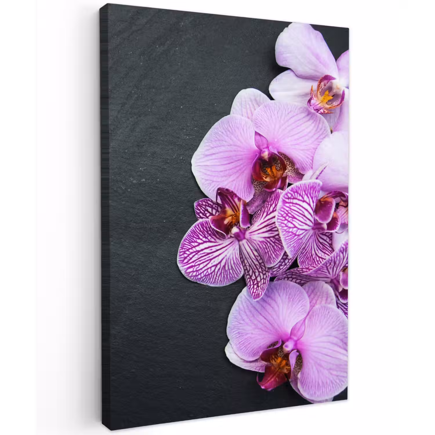 Orchidee - Bloemen - Roze - Flora Tuinposter op houten frame 2 cm dik klein -3d