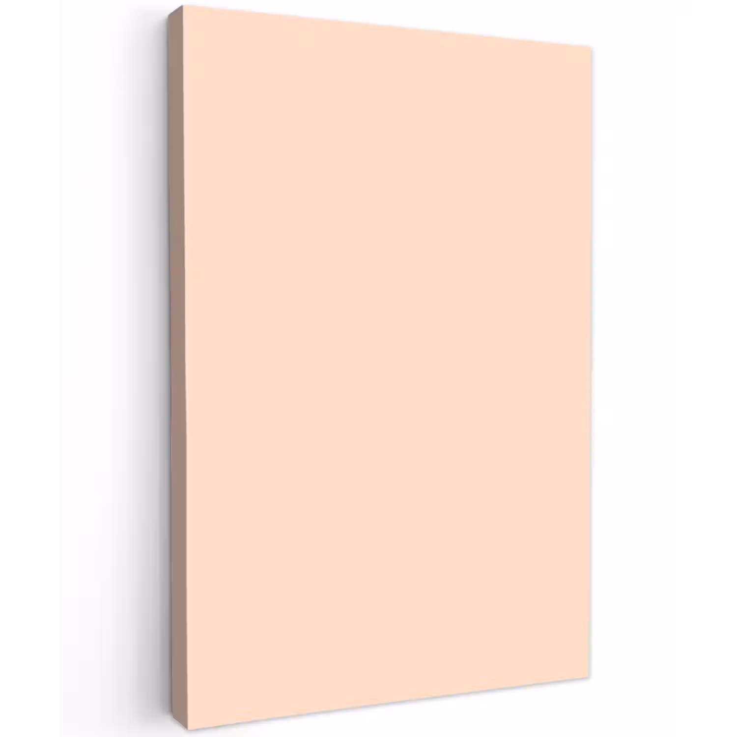Pale - Peach - Nude Tuinposter op houten frame 2 cm dik klein 841 -3d