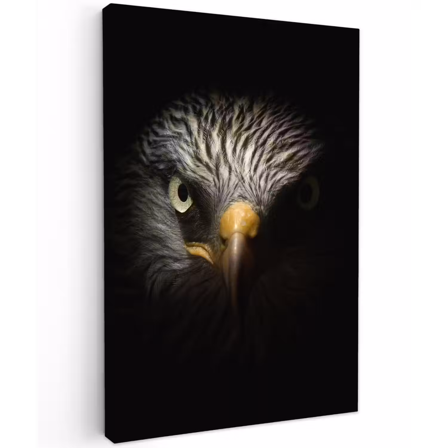 Indringende blik van een arend Tuinposter op houten frame 2 cm dik klein -3d