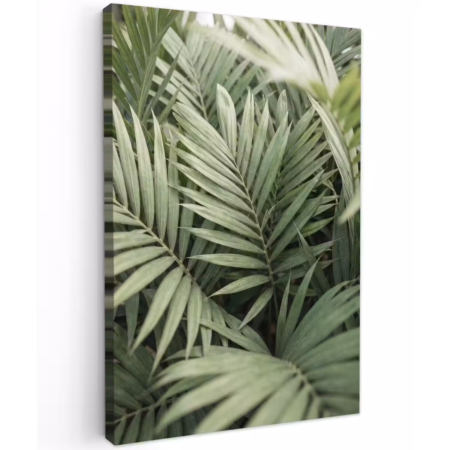 Plant - Palmbladeren - Natuur - Groen Tuinposter op houten frame 2 cm dik klein -3d