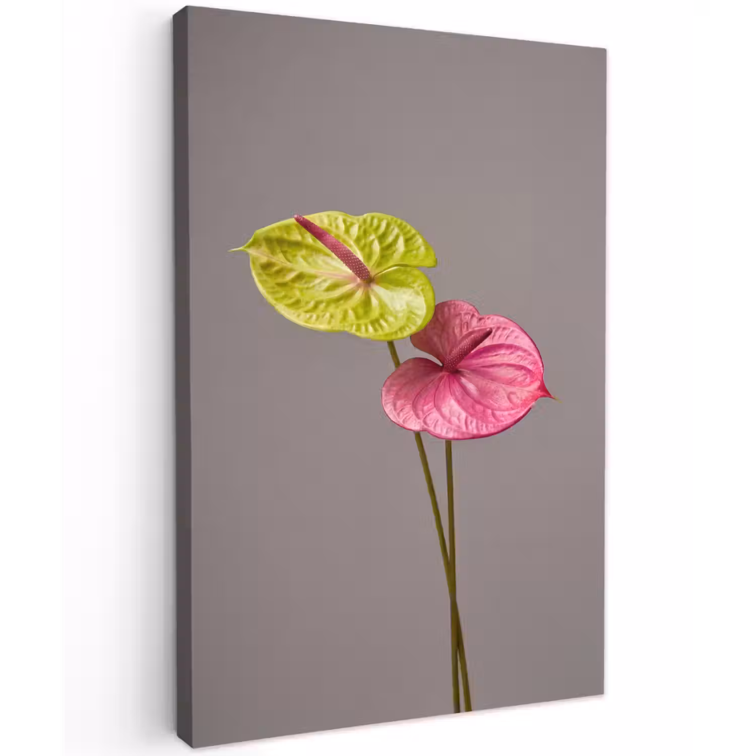 Planten - Anthurium - Groen - Roze Tuinposter op houten frame 2 cm dik klein -3d