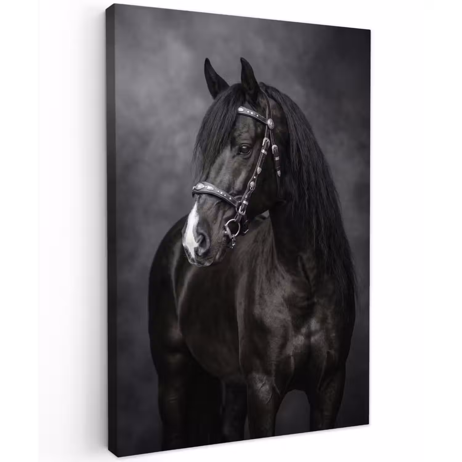 Portret - Paard - Zwart Tuinposter op houten frame 2 cm dik klein -3d