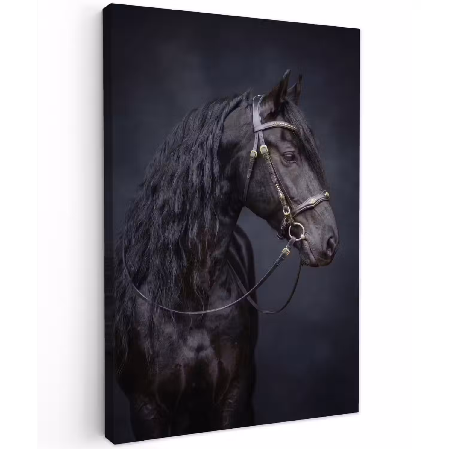 Portret - Paard - Donker Tuinposter op houten frame 2 cm dik klein -3d