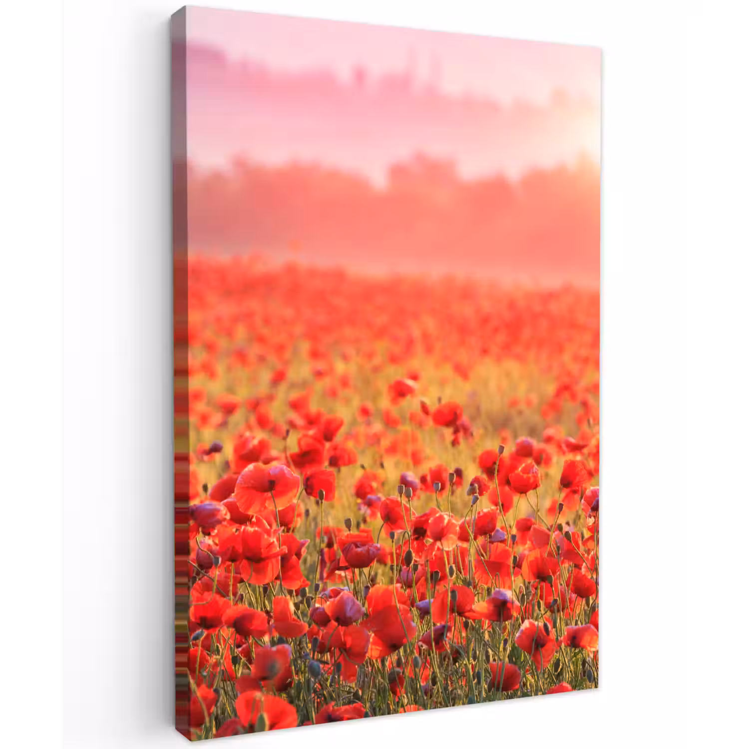 Rode klaprozen in de ochtendzon Tuinposter op houten frame 2 cm dik klein -3d