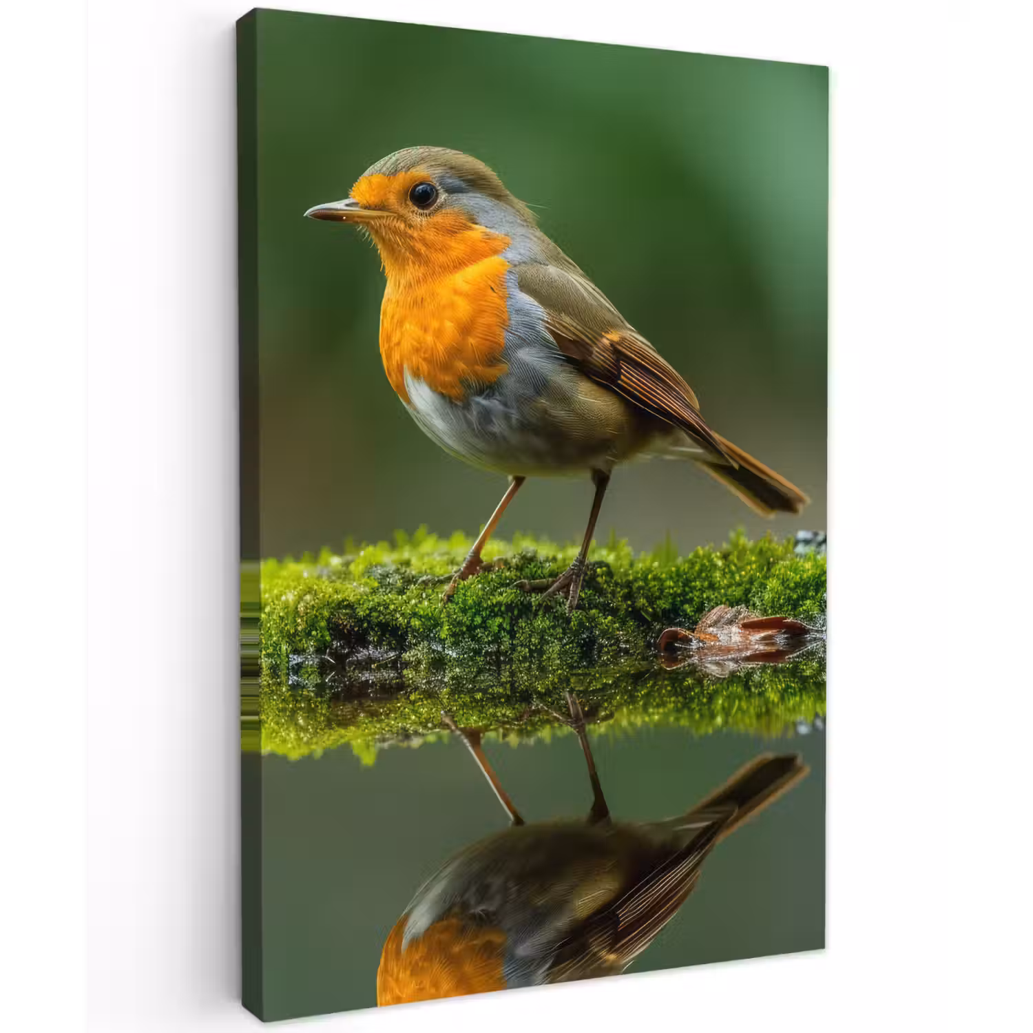 Roodborstje bij het Water Tuinposter op houten frame 2 cm dik klein -3d