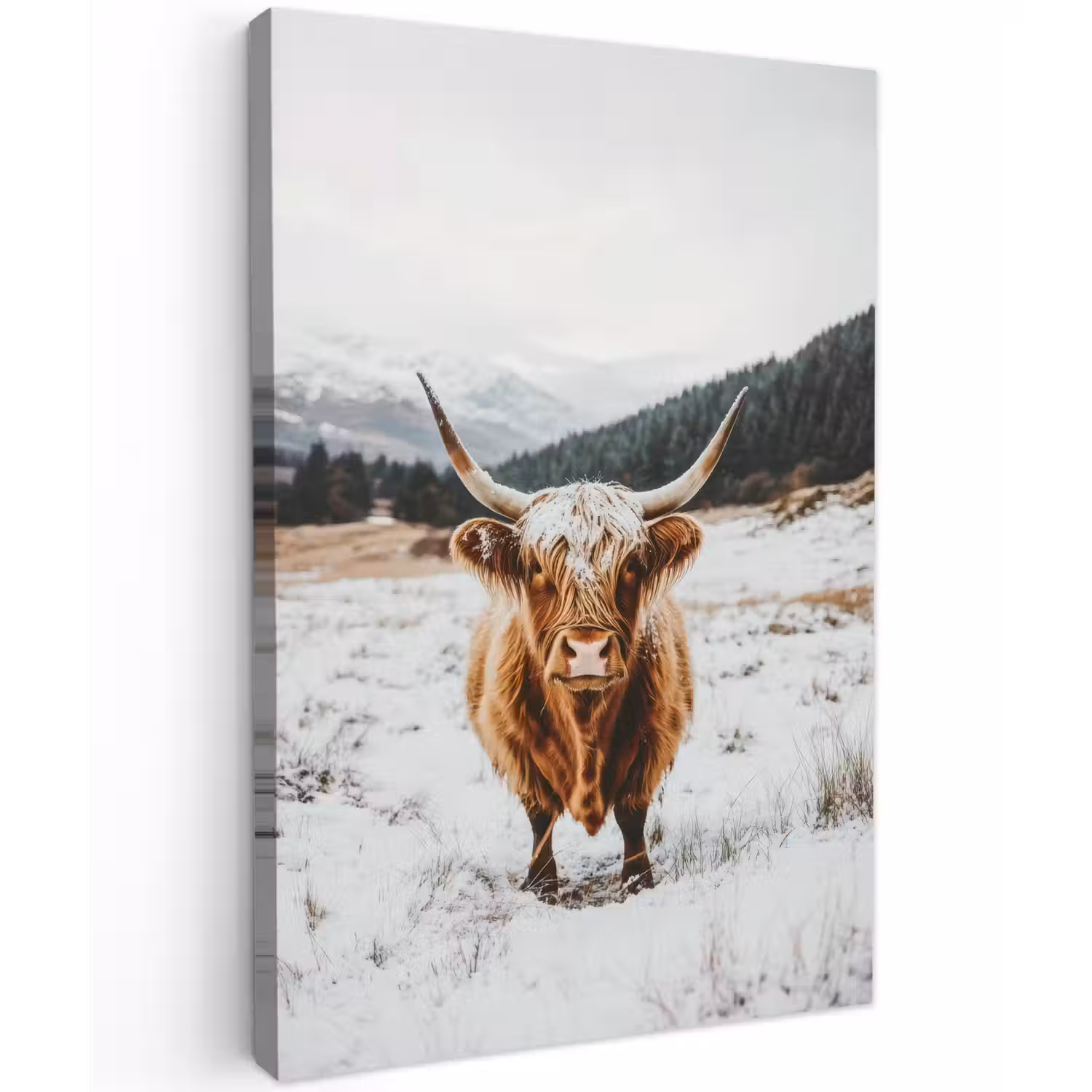Schotse Hooglander - Landschap - Sneeuw - Bergen - Winter Tuinposter op houten frame 2 cm dik klein -3d