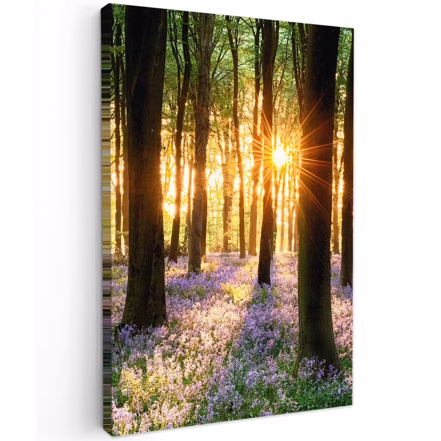Bloemenzee in het ochtendlicht Tuinposter op houten frame 2 cm dik klein -3d