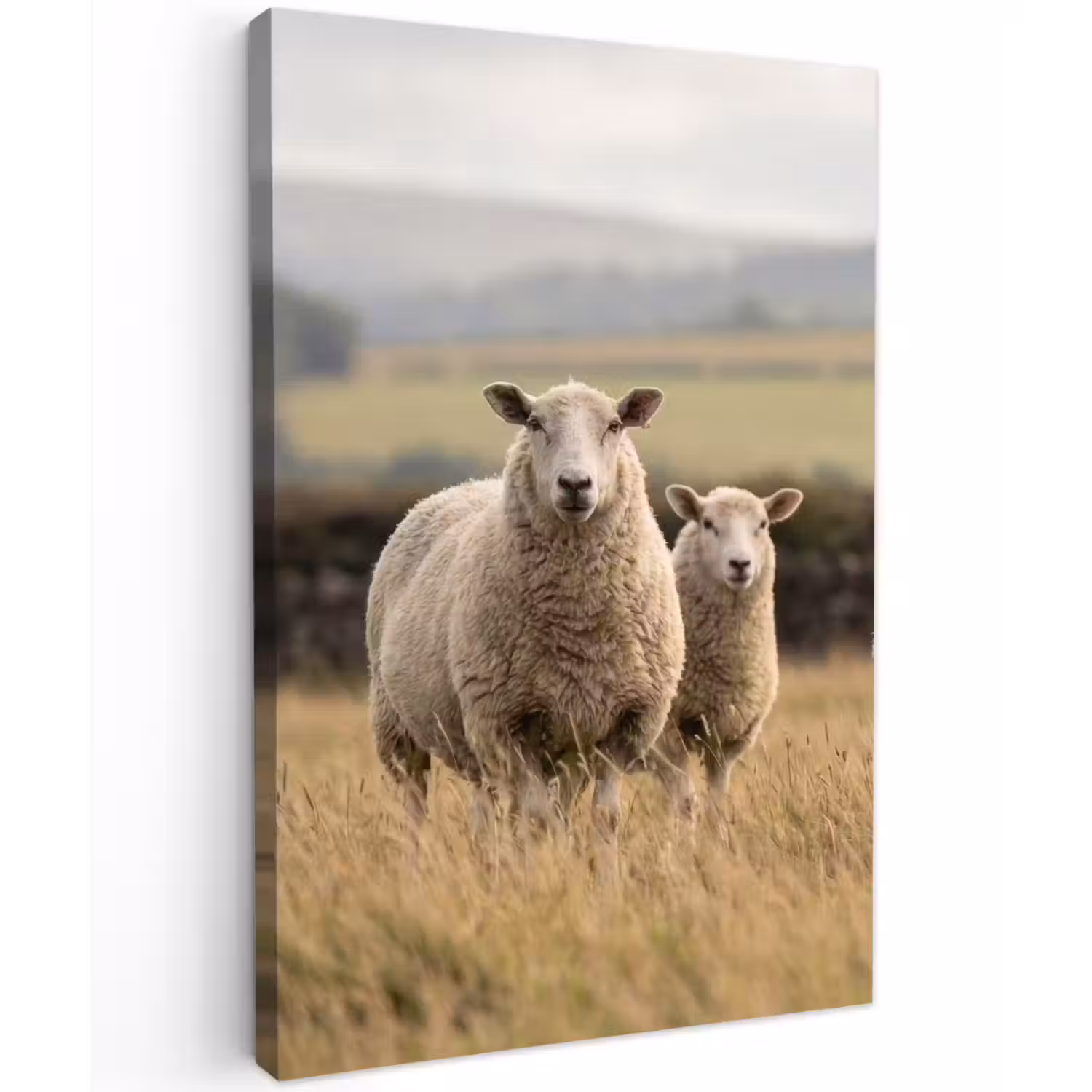 Schapen - Weidenlandschap - Heuvels Tuinposter op houten frame 2 cm dik klein -3d
