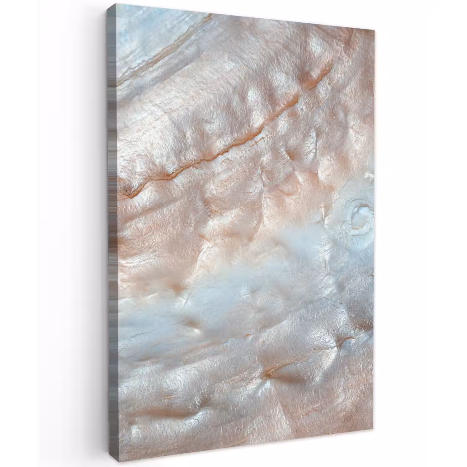 Schelpen - Abstract - Natuur Tuinposter op houten frame 2 cm dik klein -3d