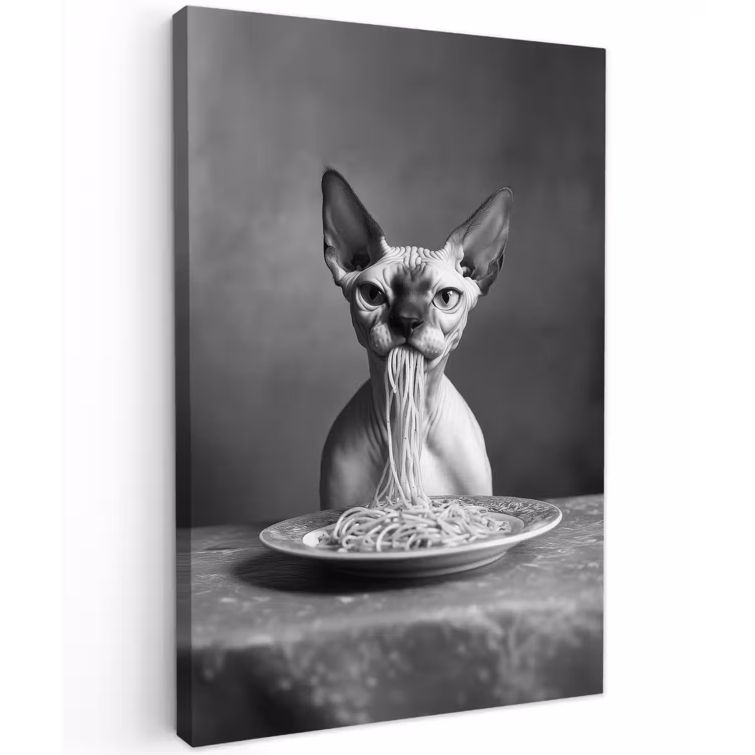 Sphynx - Kat - Dieren - Humor - Spaghetti - Zwart Wit Tuinposter op houten frame 2 cm dik klein -3d