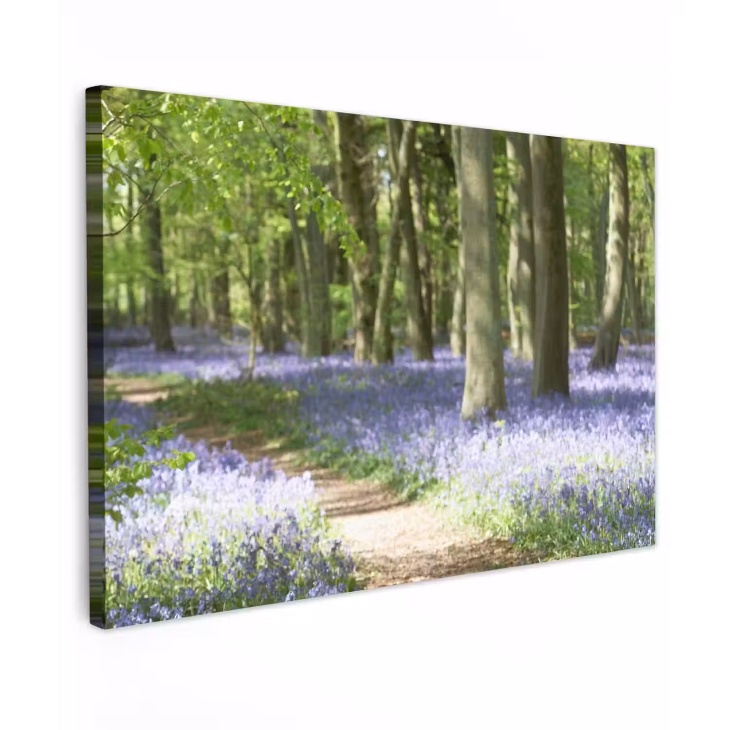 Lente bos met blauwe bloemen Tuinposter op houten frame 2 cm dik middel -3d