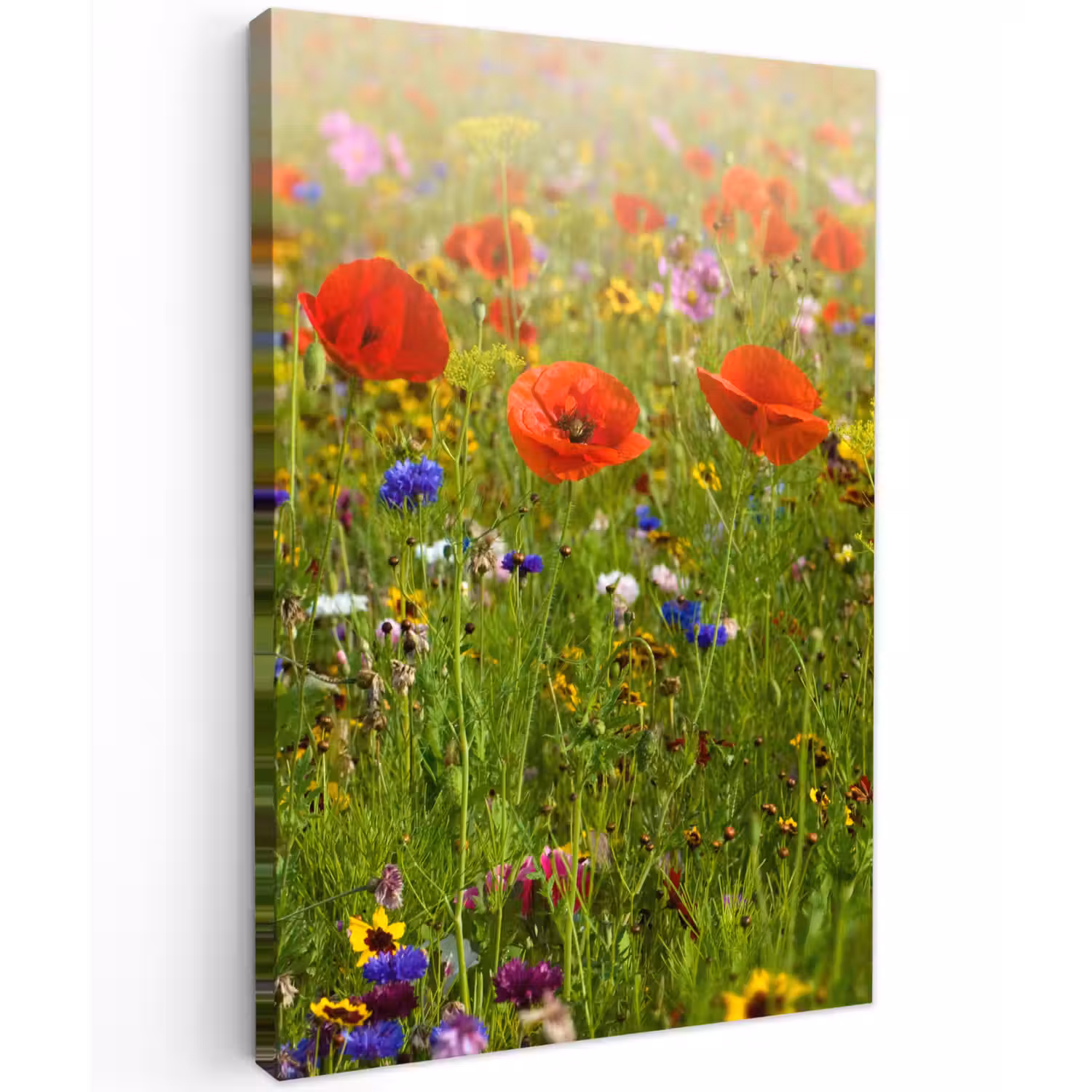 Lente - Bloemen - Rood - Klaproos - Gras - Groen Tuinposter op houten frame 2 cm dik klein -3d