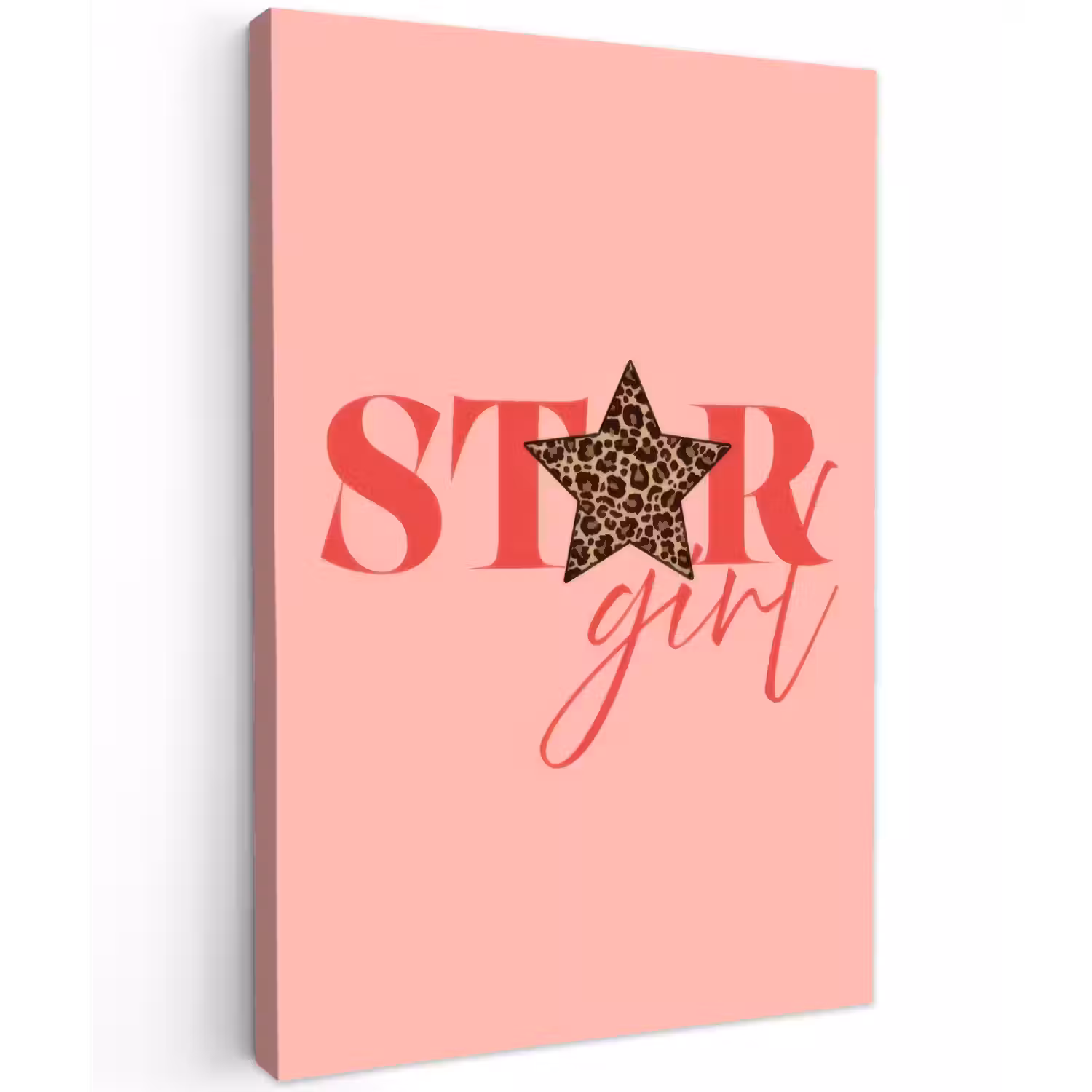 Star girl - Roze - Panter - Ster Tuinposter op houten frame 2 cm dik klein -3d