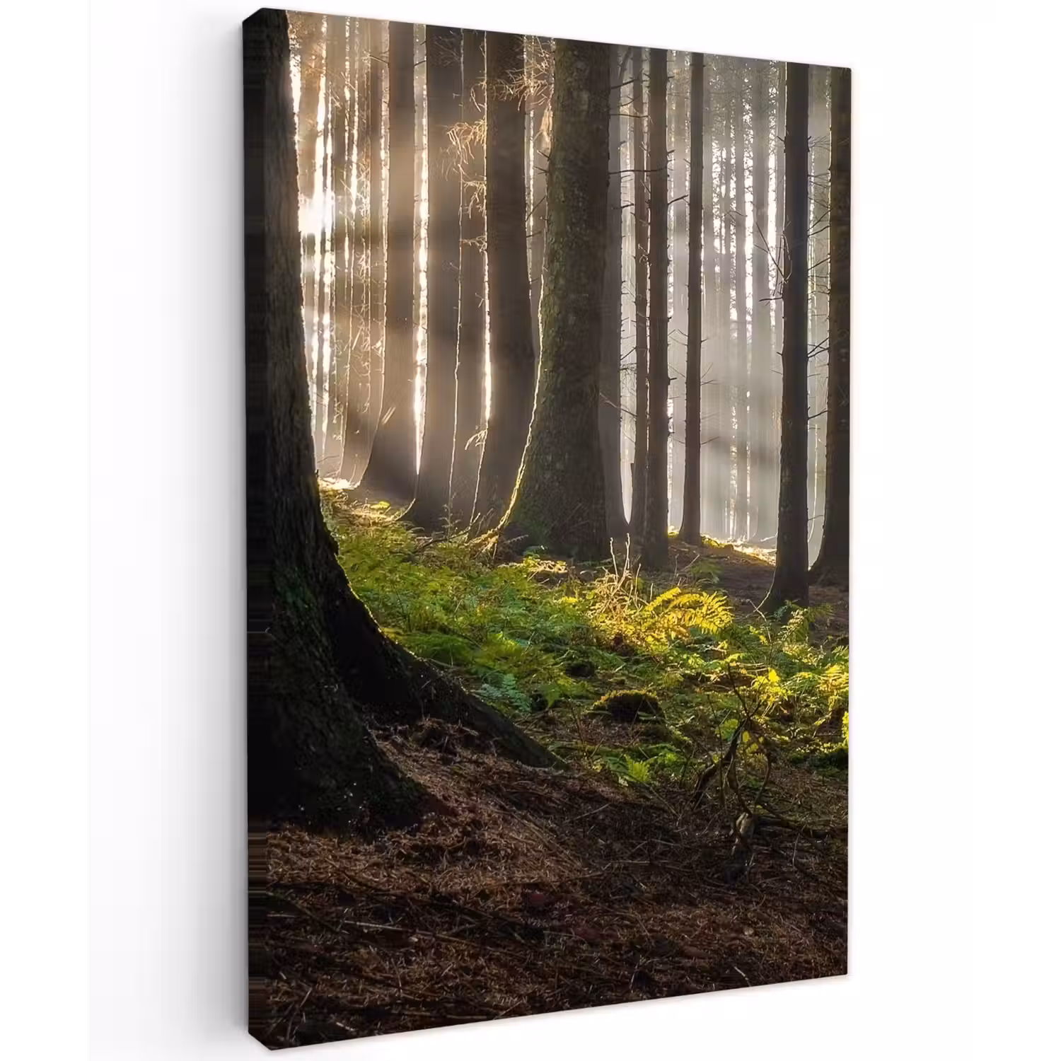 Zon - Takken - Bomen - Bos - Natuur Tuinposter op houten frame 2 cm dik klein -3d