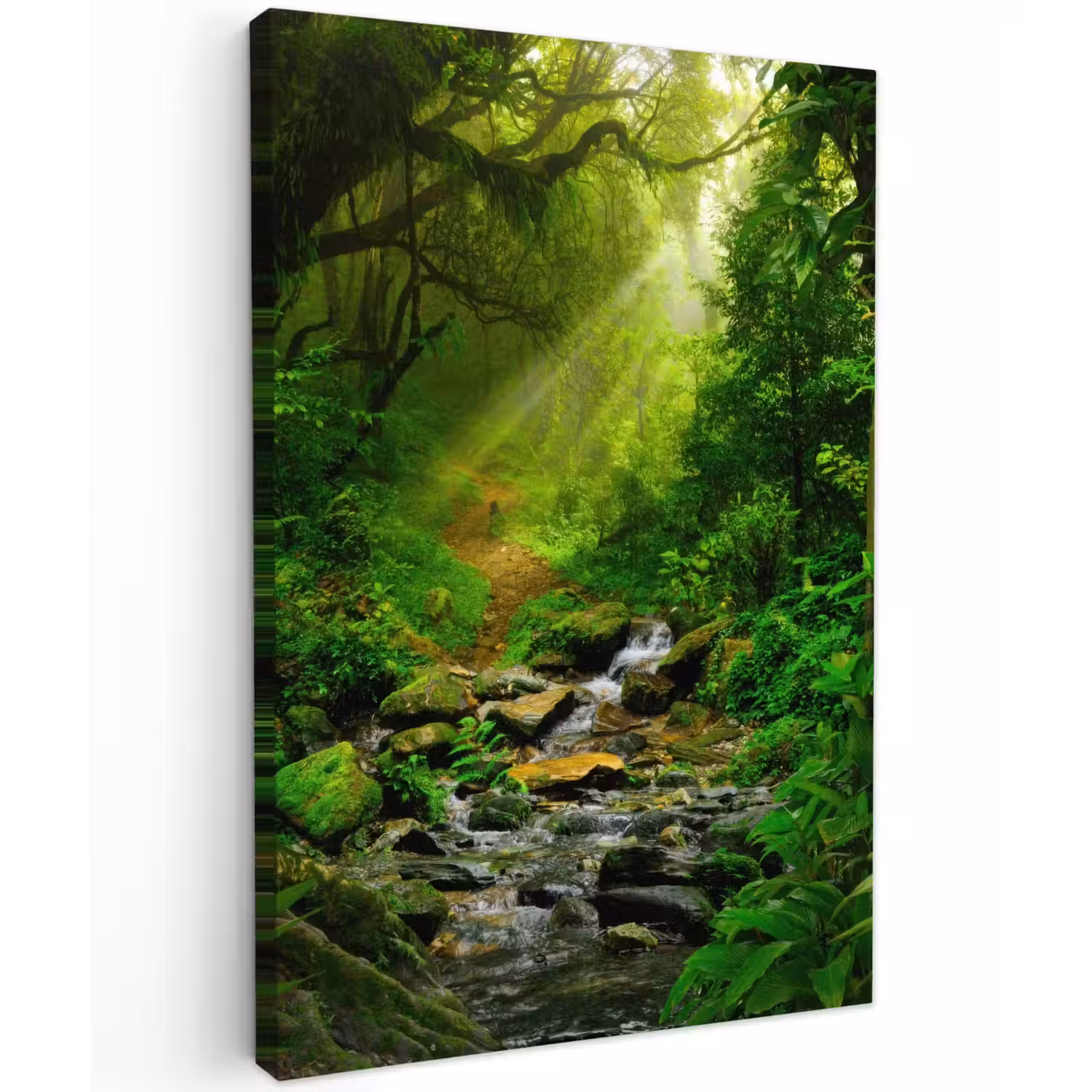Zonnige Stralen in het Regenwoud Tuinposter op houten frame 2 cm dik klein -3d