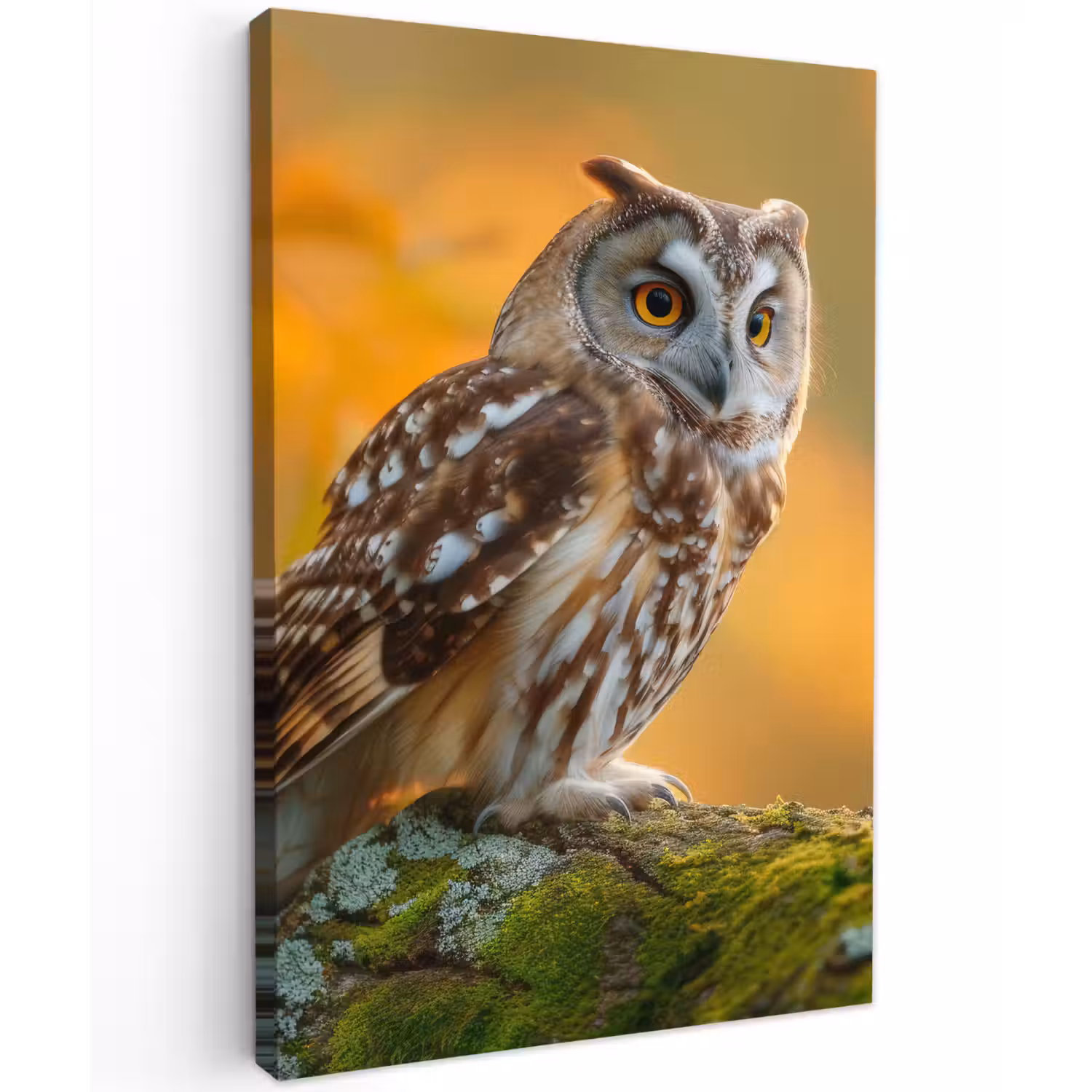 Bosuil op Mosbegroeide Tak Tuinposter op houten frame 2 cm dik klein -3d