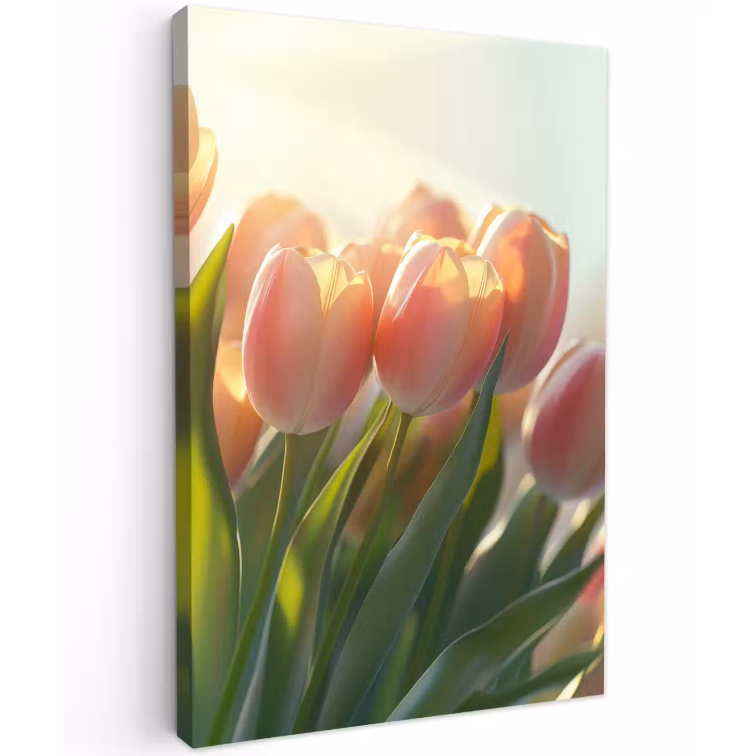 Tulpen - Roze - Zonnestralen Tuinposter op houten frame 2 cm dik klein -3d