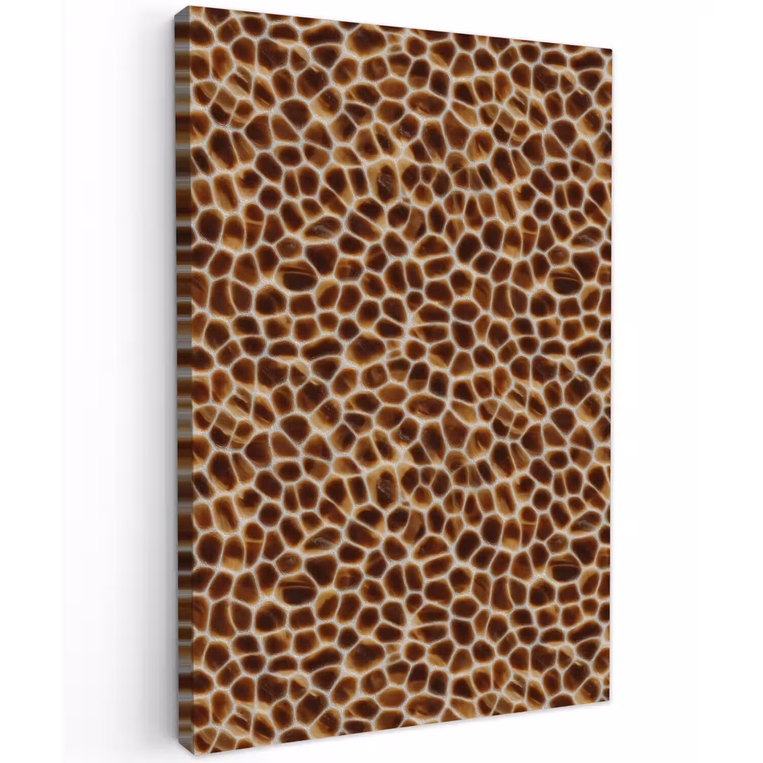 Schildpad - Bruin - Patroon Tuinposter op houten frame 2 cm dik klein 841 -3d