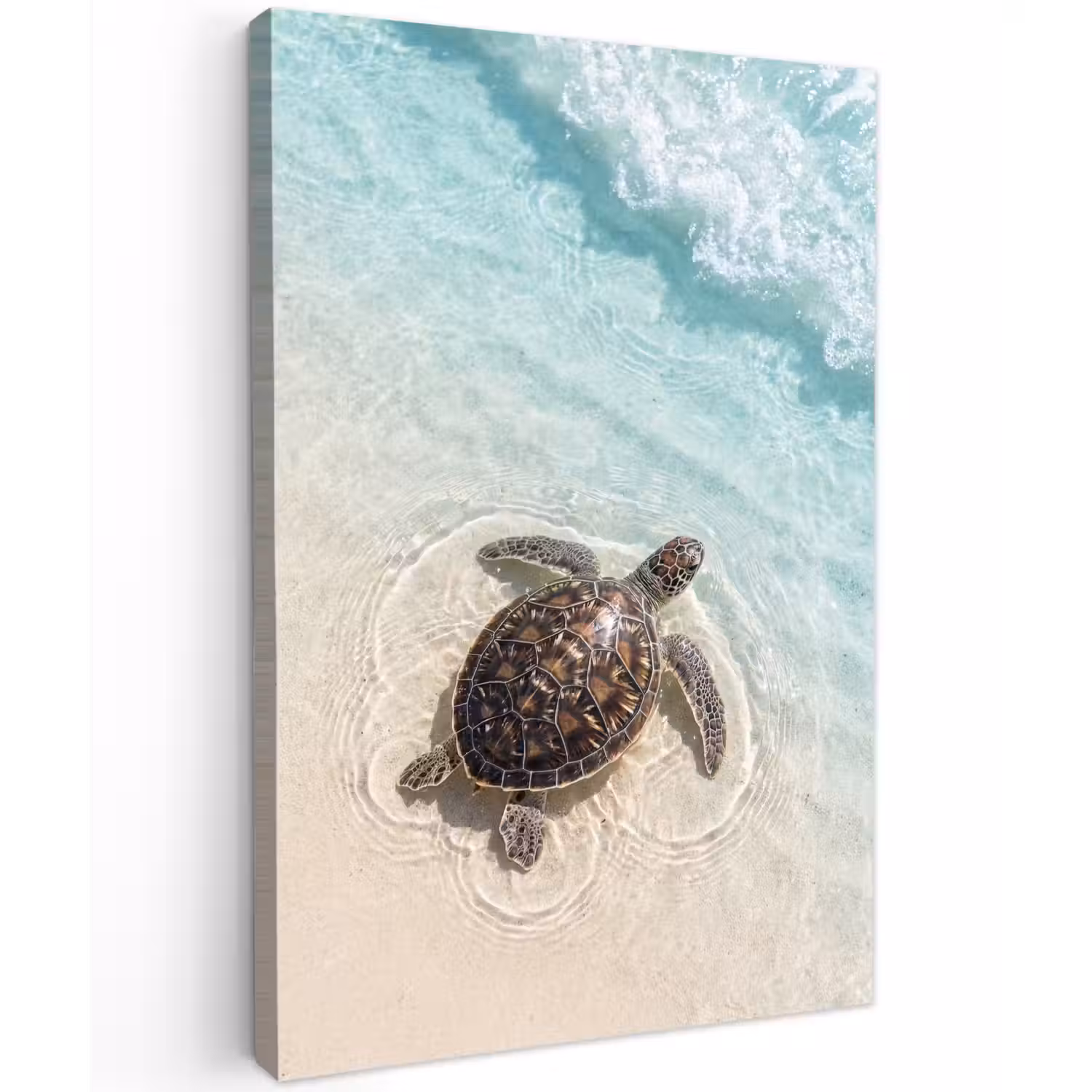 Schildpad - Helder water - Strand - Dieren - Natuur Tuinposter op houten frame 2 cm dik klein -3d