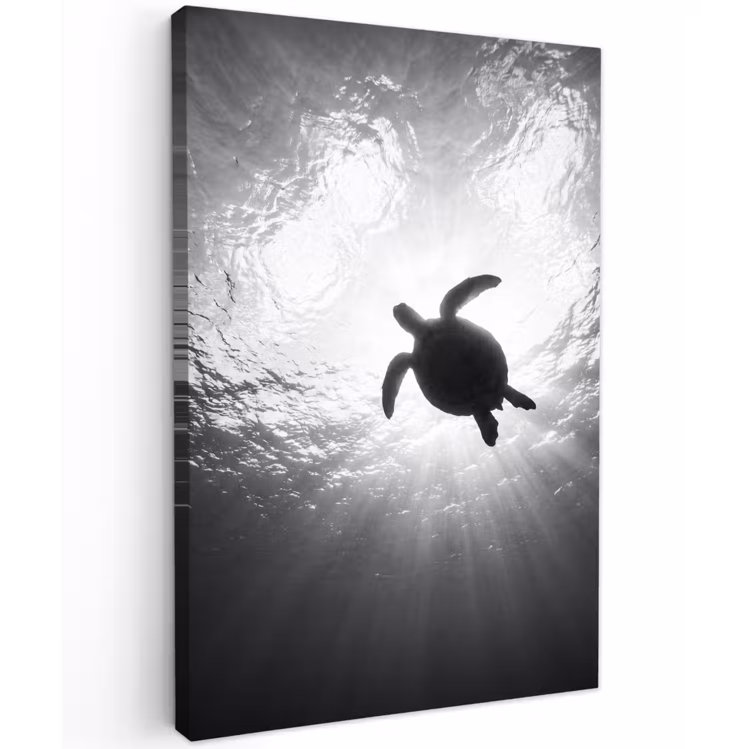 Schildpad - Onderwater - Lichtstralen - Oceaan - Zwart-wit Tuinposter op houten frame 2 cm dik klein -3d
