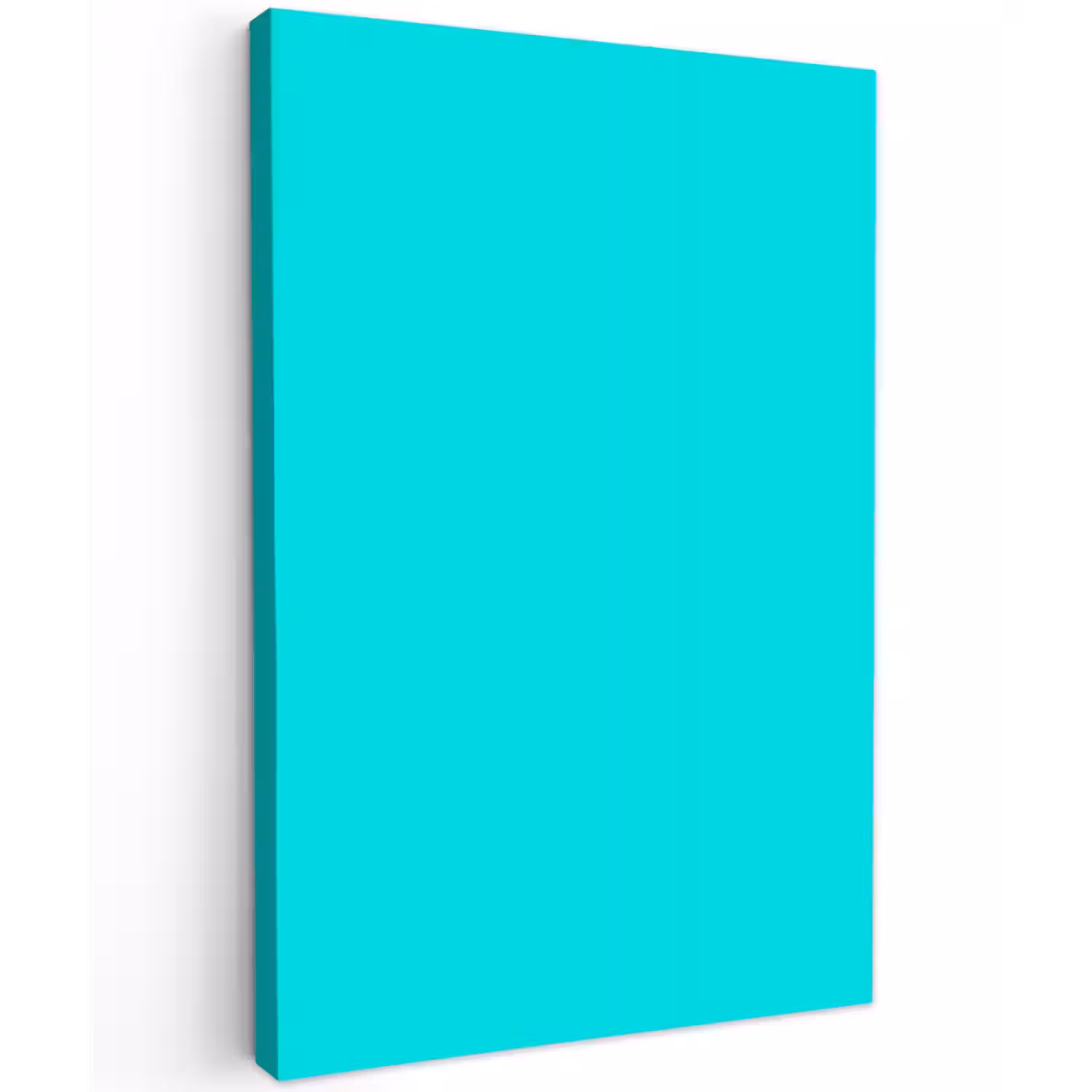 Vivid - Aquamarine - Turkoois Tuinposter op houten frame 2 cm dik klein 841 -3d