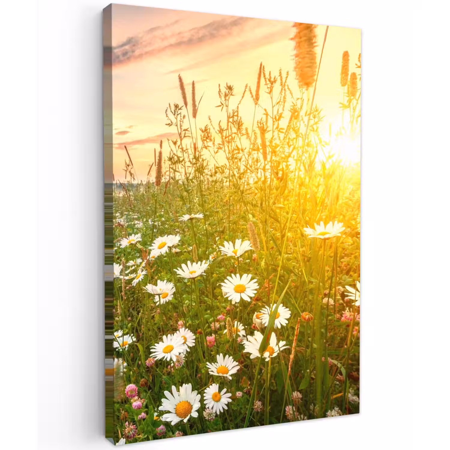 Wilde bloemen in de ochtendzon Tuinposter op houten frame 2 cm dik klein -3d