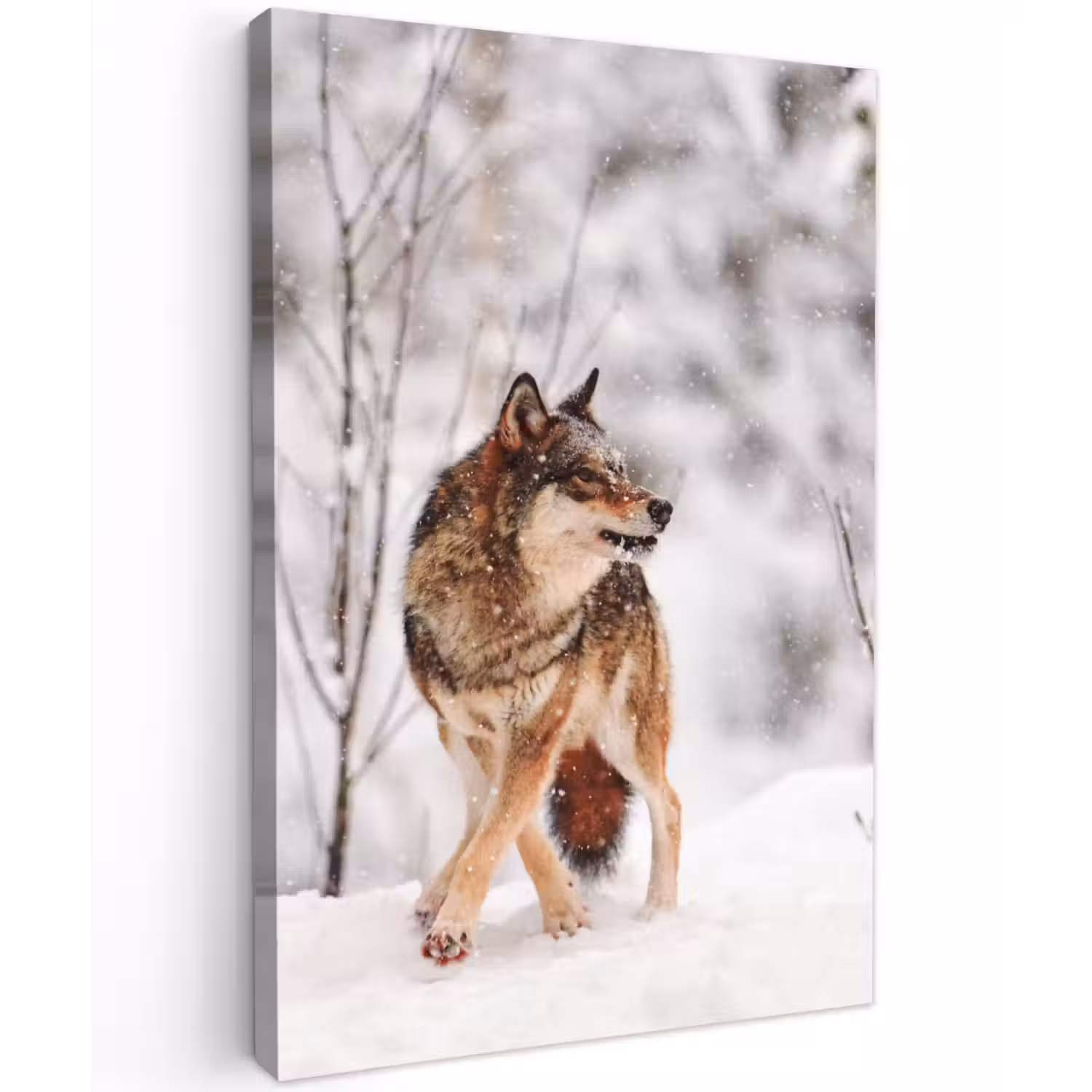 Wolf - Winter - Sneeuw - Natuur - Dieren Tuinposter op houten frame 2 cm dik klein -3d