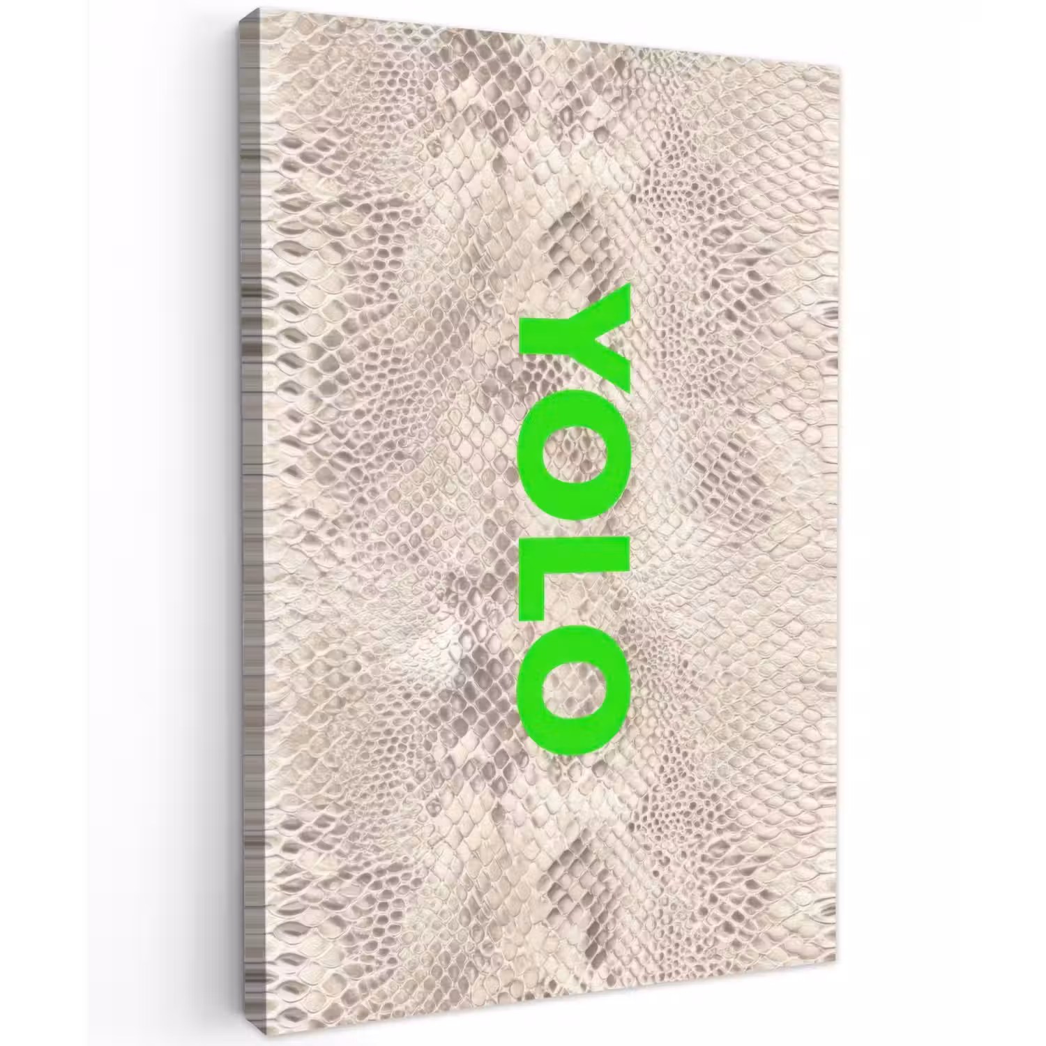 YOLO - Groen - Neon - Slangenprnt Tuinposter op houten frame 2 cm dik klein -3d