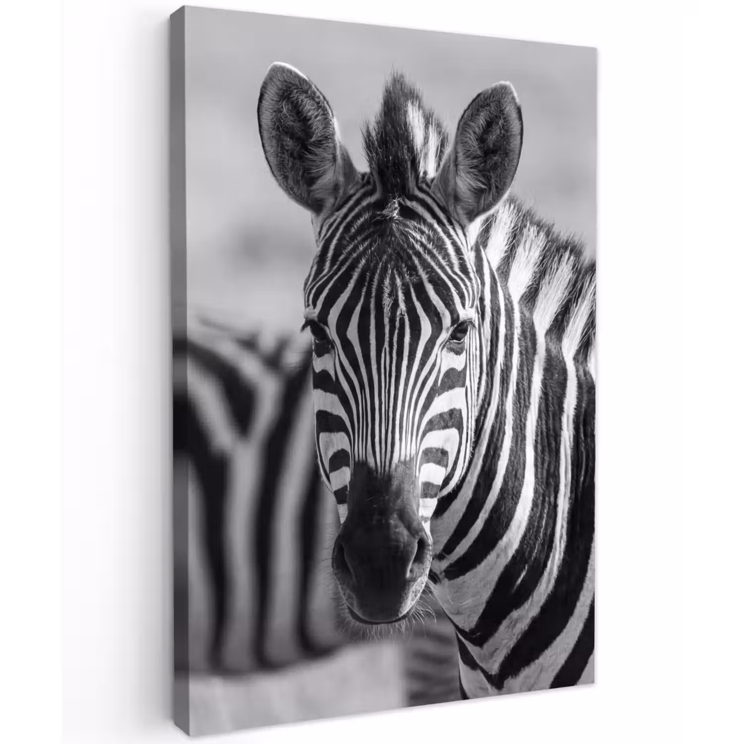 Zebra's - Zwart - Wit Tuinposter op houten frame 2 cm dik klein -3d