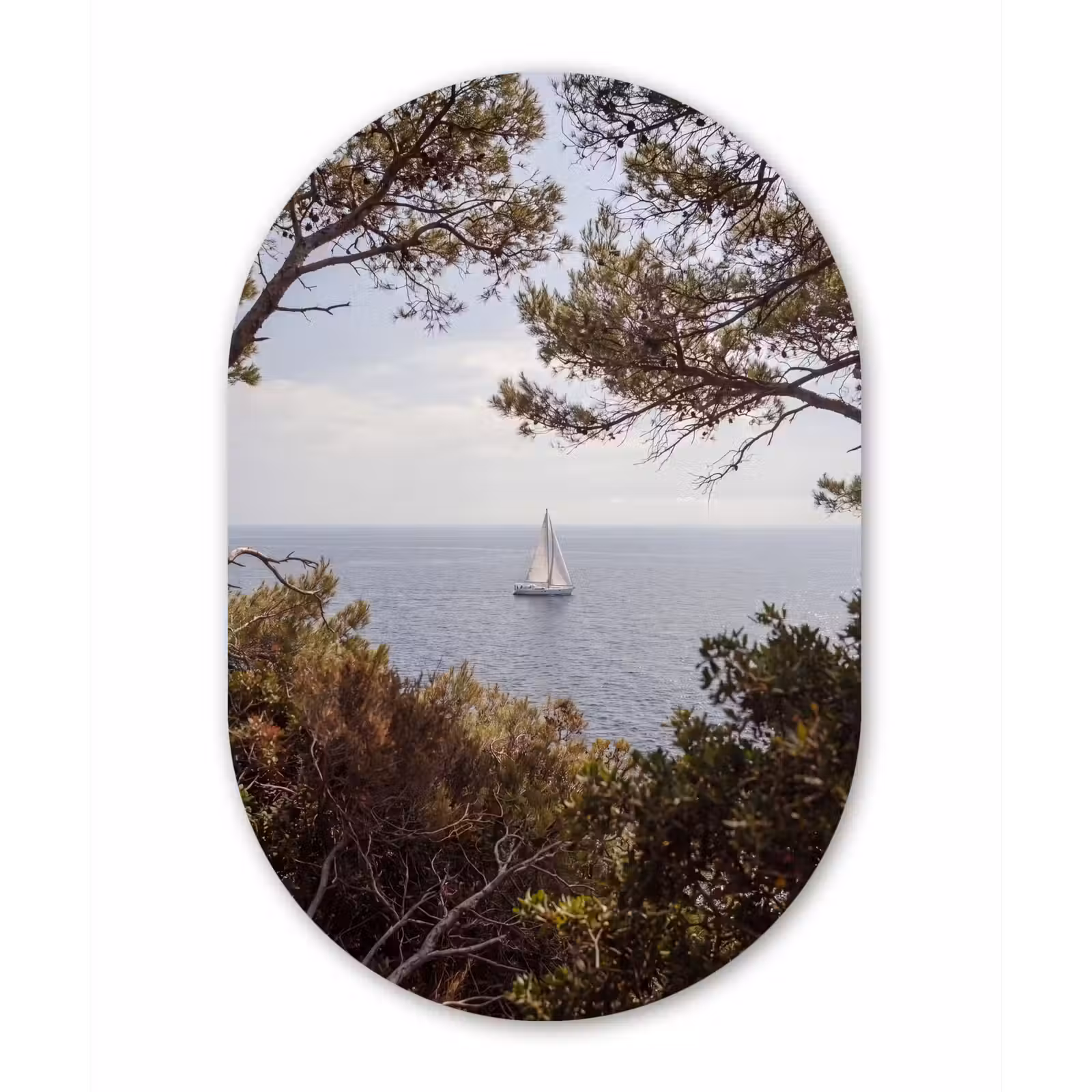Oval - Glass - Sailboat - trees - water - Zeilboot - bomen - water Wandcirkel Ovaal Glas middel