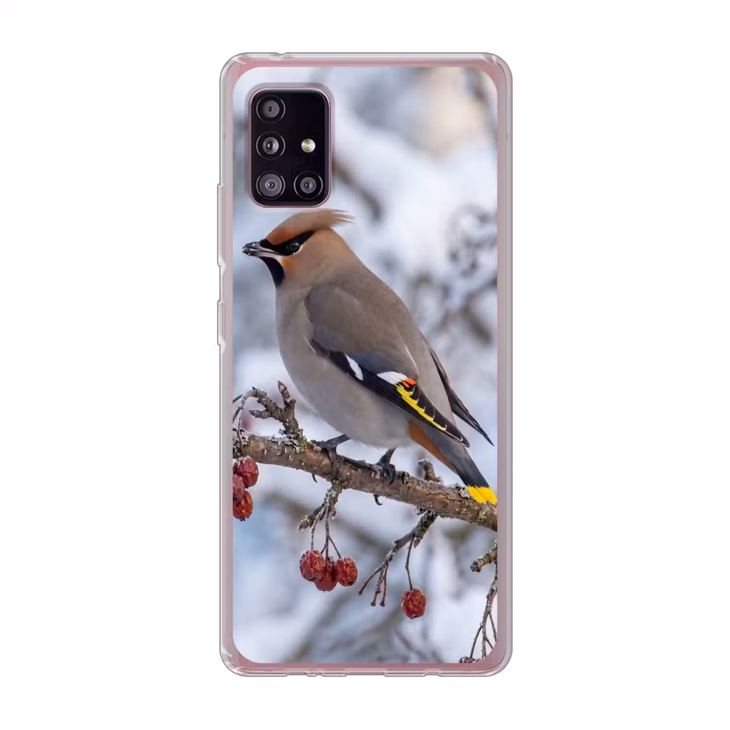Pestvogel - Bessen - Winter - Natuur Telefoonhoesje Samsung Galaxy A51 5G klein -3d