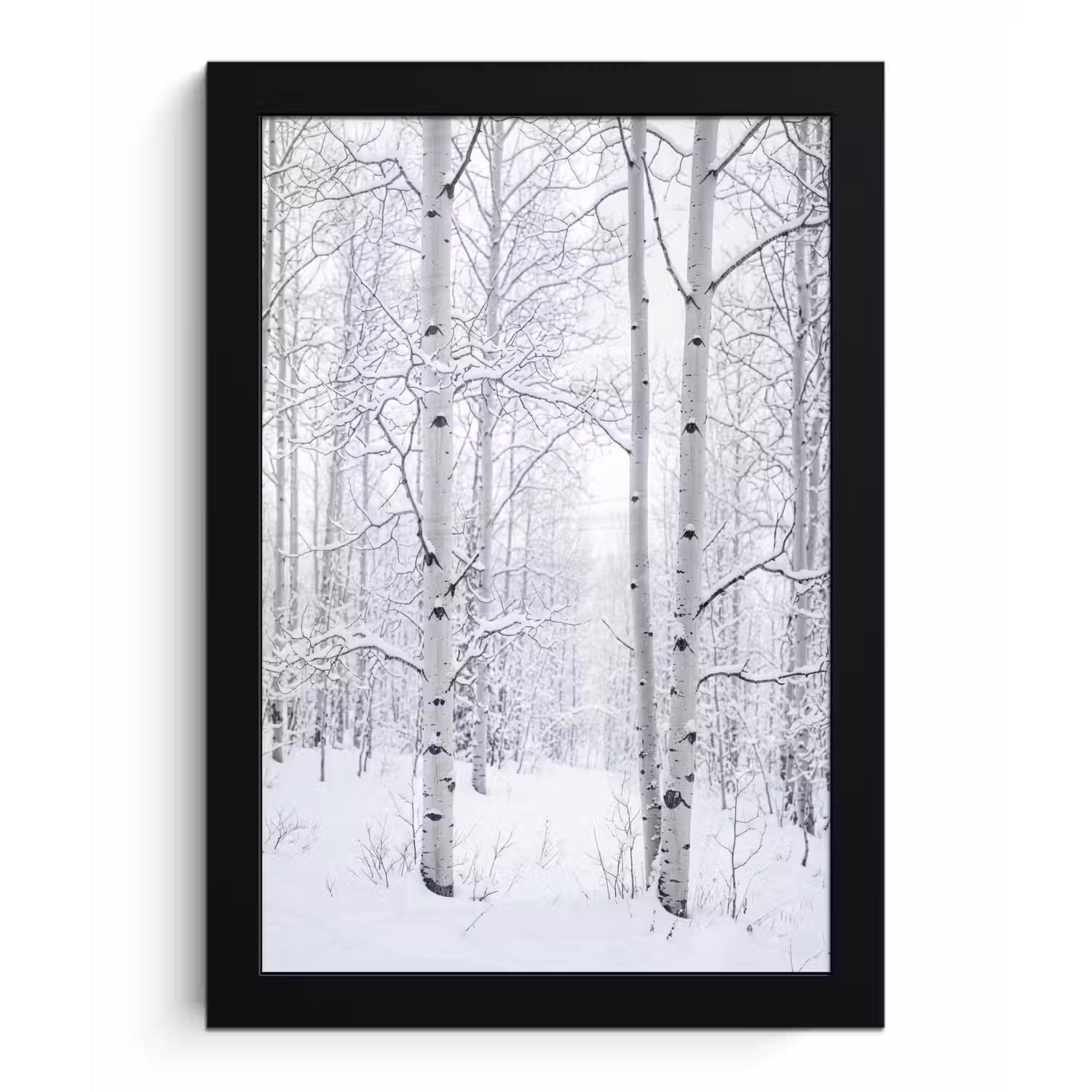 Berkenbomen - Sneeuw - Winter - Bos - Wit fotolijst zwart zonder passe partout klein -3d