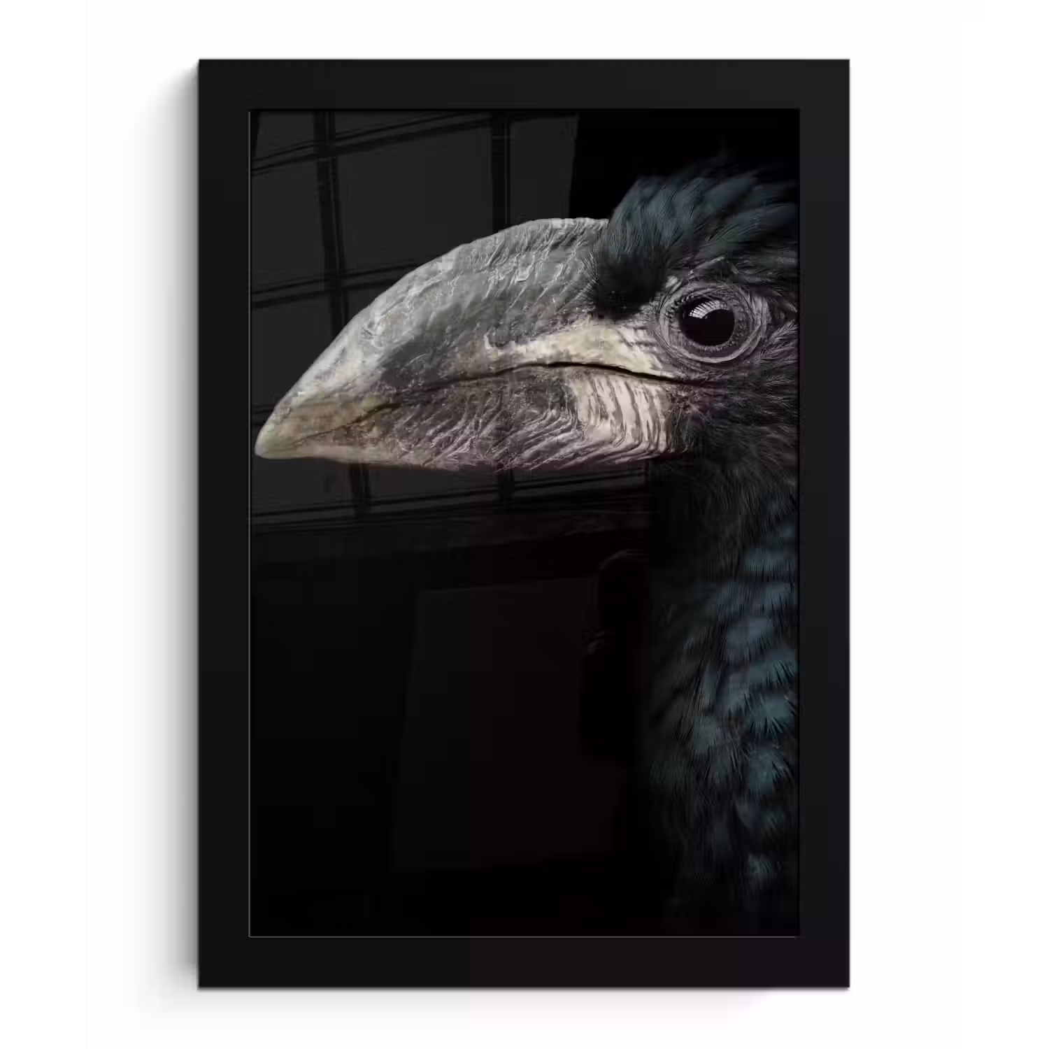 Vogel - Portret - Neushoornvogel - Zwart - Dieren fotolijst zwart zonder passe partout klein -3d