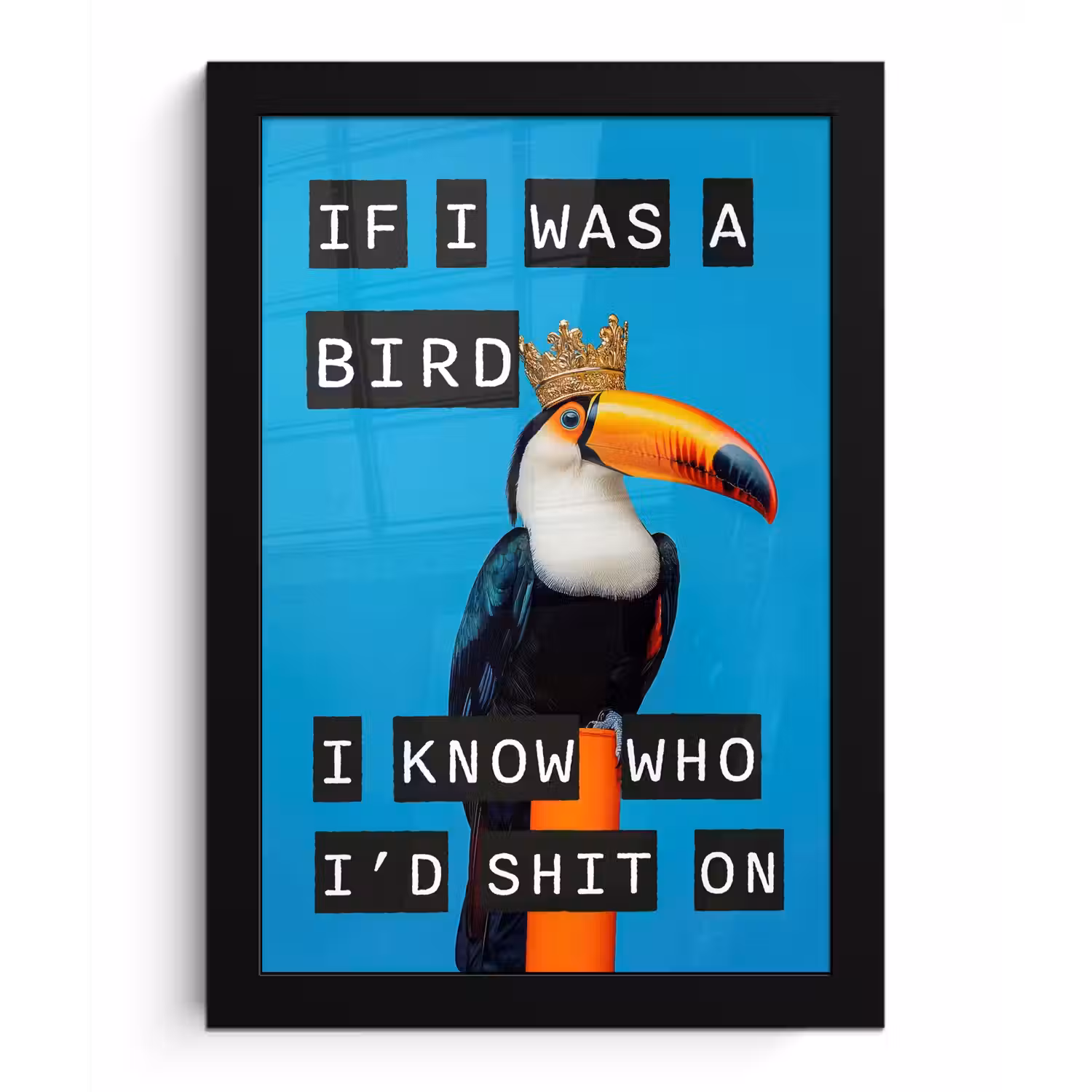 Vogel - Toekan - Blauw - Quotes fotolijst zwart zonder passe partout klein -3d