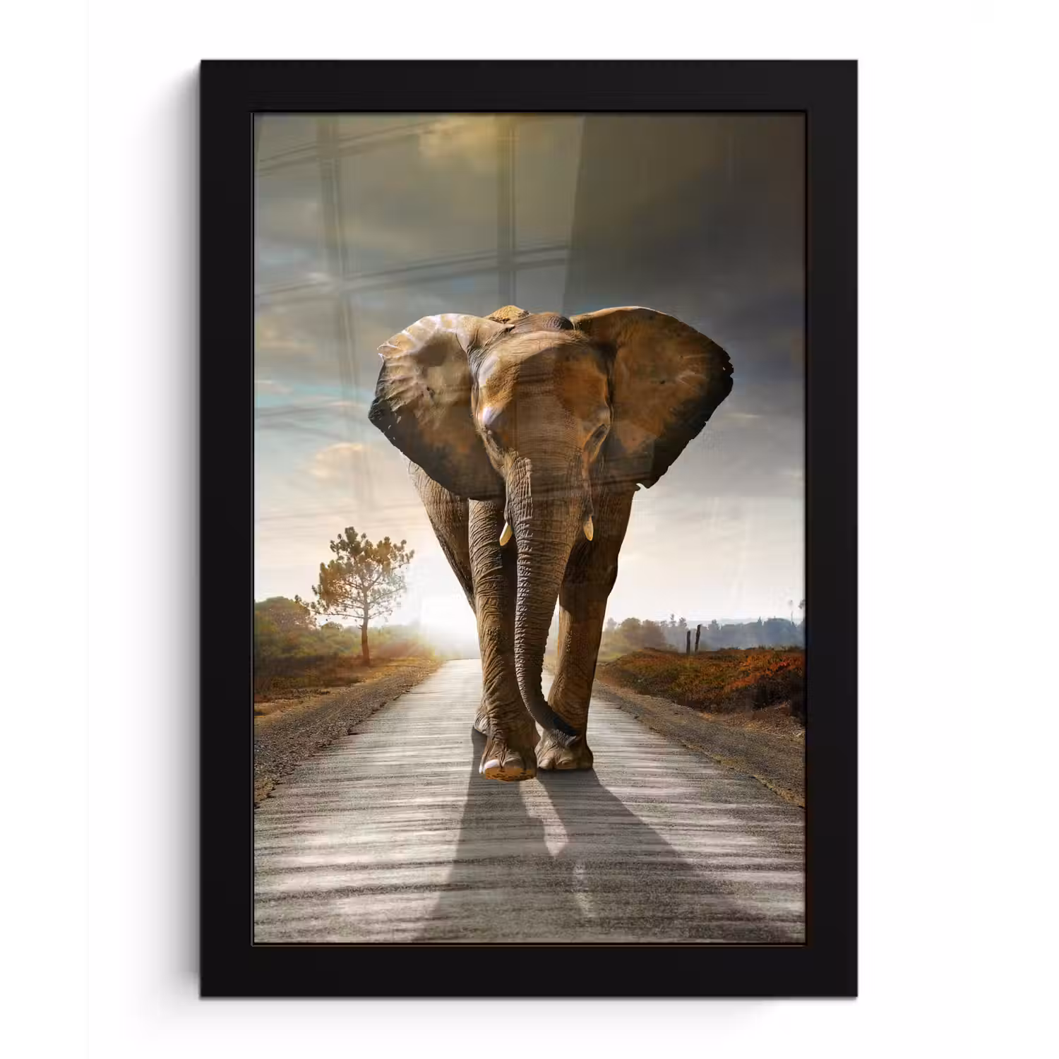 Olifant - Weg - Dieren - Zonsondergang - Landschap fotolijst zwart zonder passe partout klein -3d
