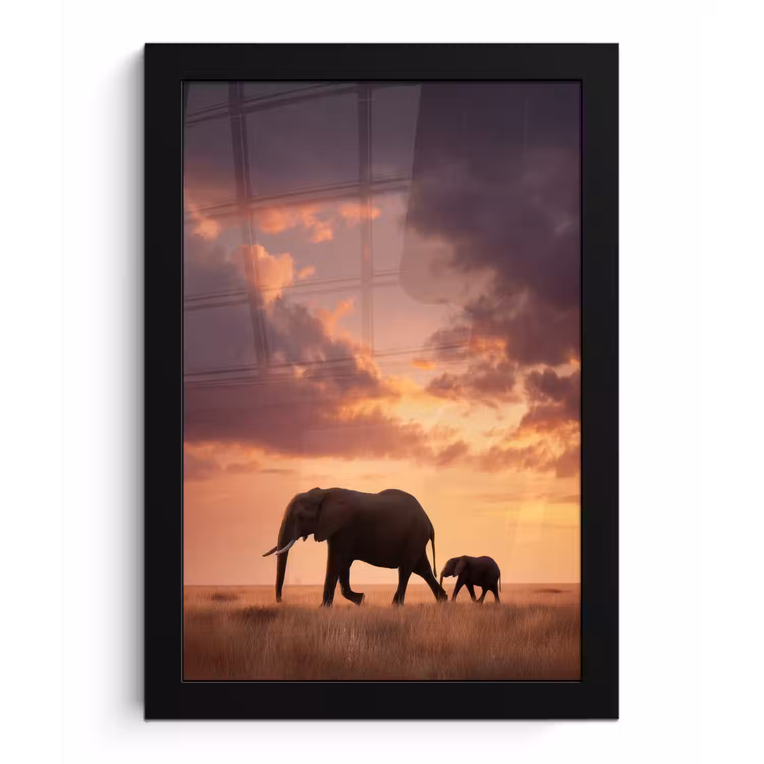 Olifanten - Grasland - Zonsondergang fotolijst zwart zonder passe partout klein -3d