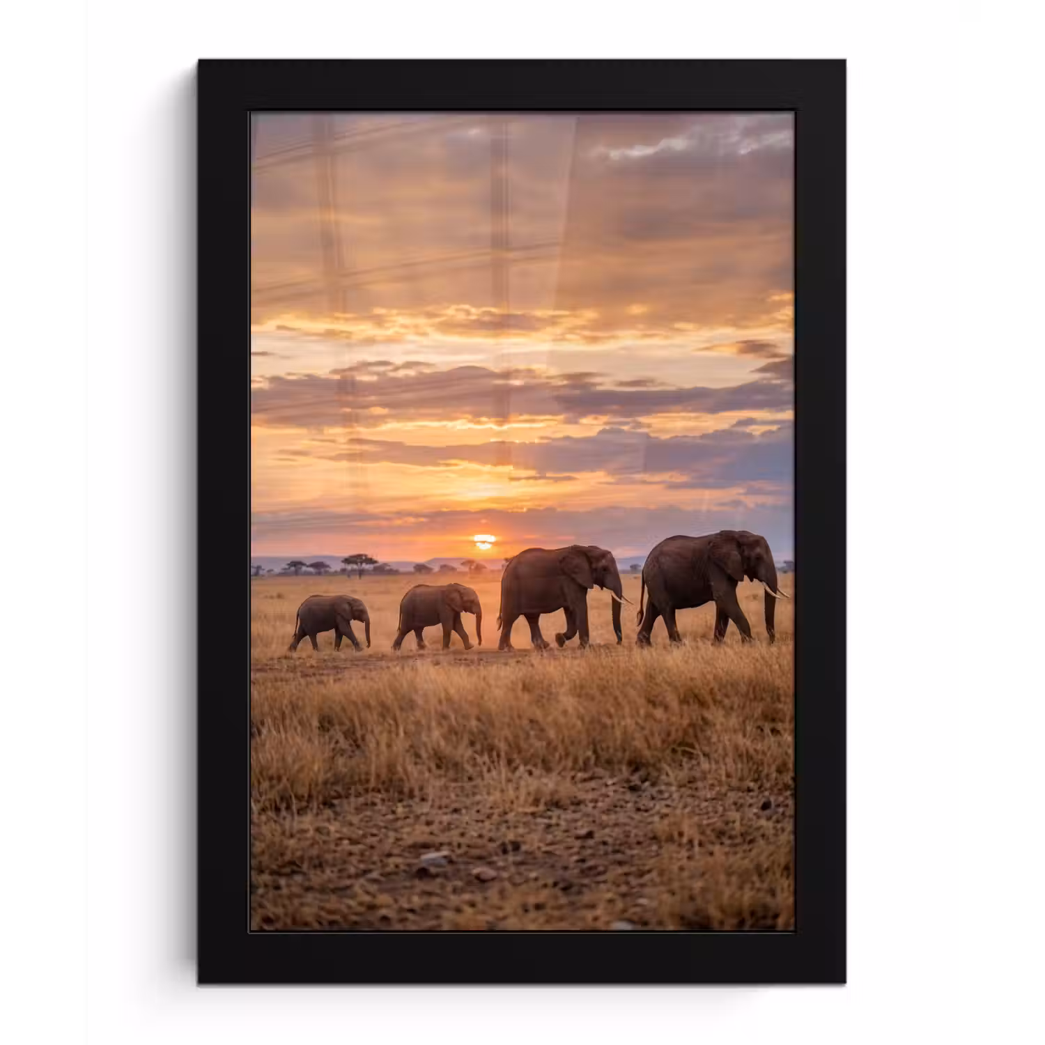 Olifanten - Savanne - Zonsondergang - Afrika - Warm fotolijst zwart zonder passe partout klein -3d