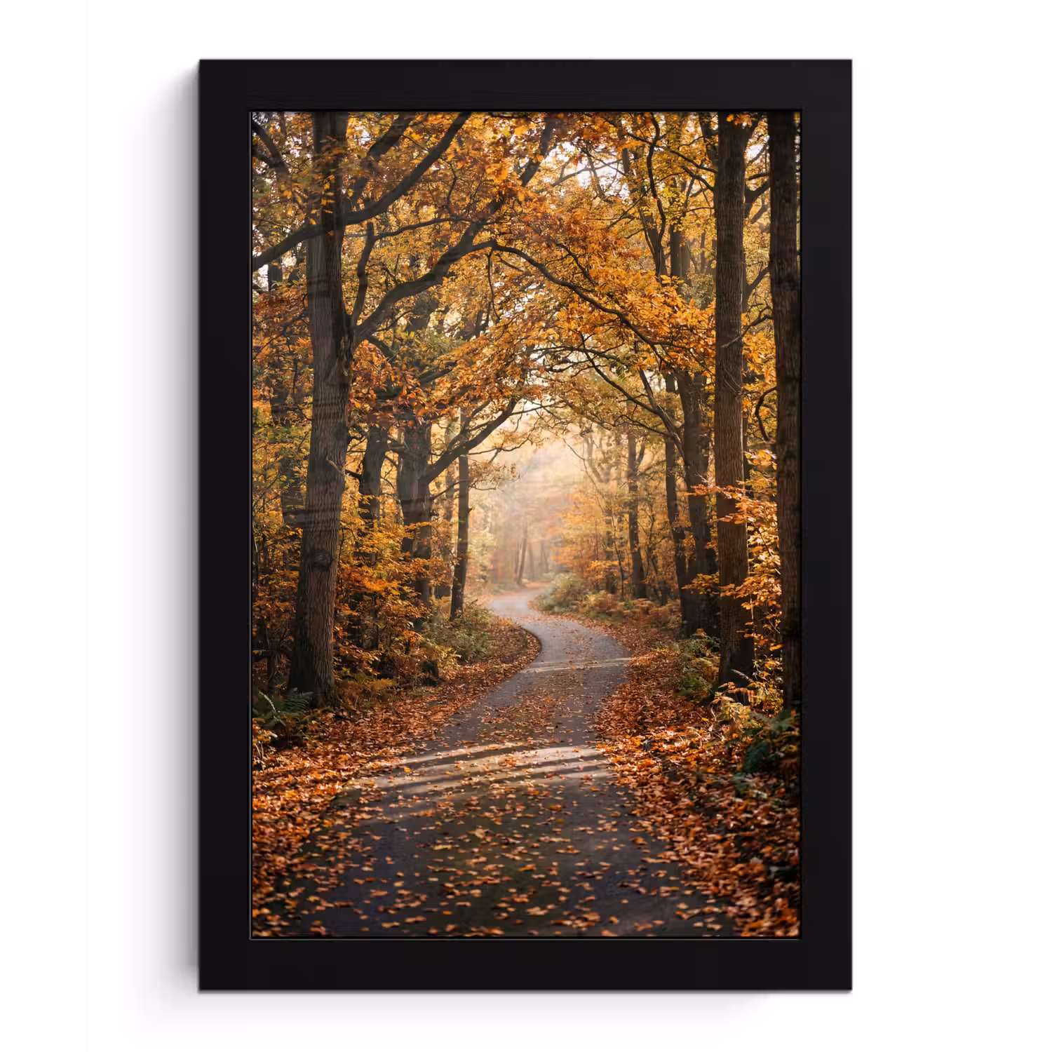 Bospad - Herfstbos - Bladeren - Oranje - Nostalgisch fotolijst zwart zonder passe partout klein -3d