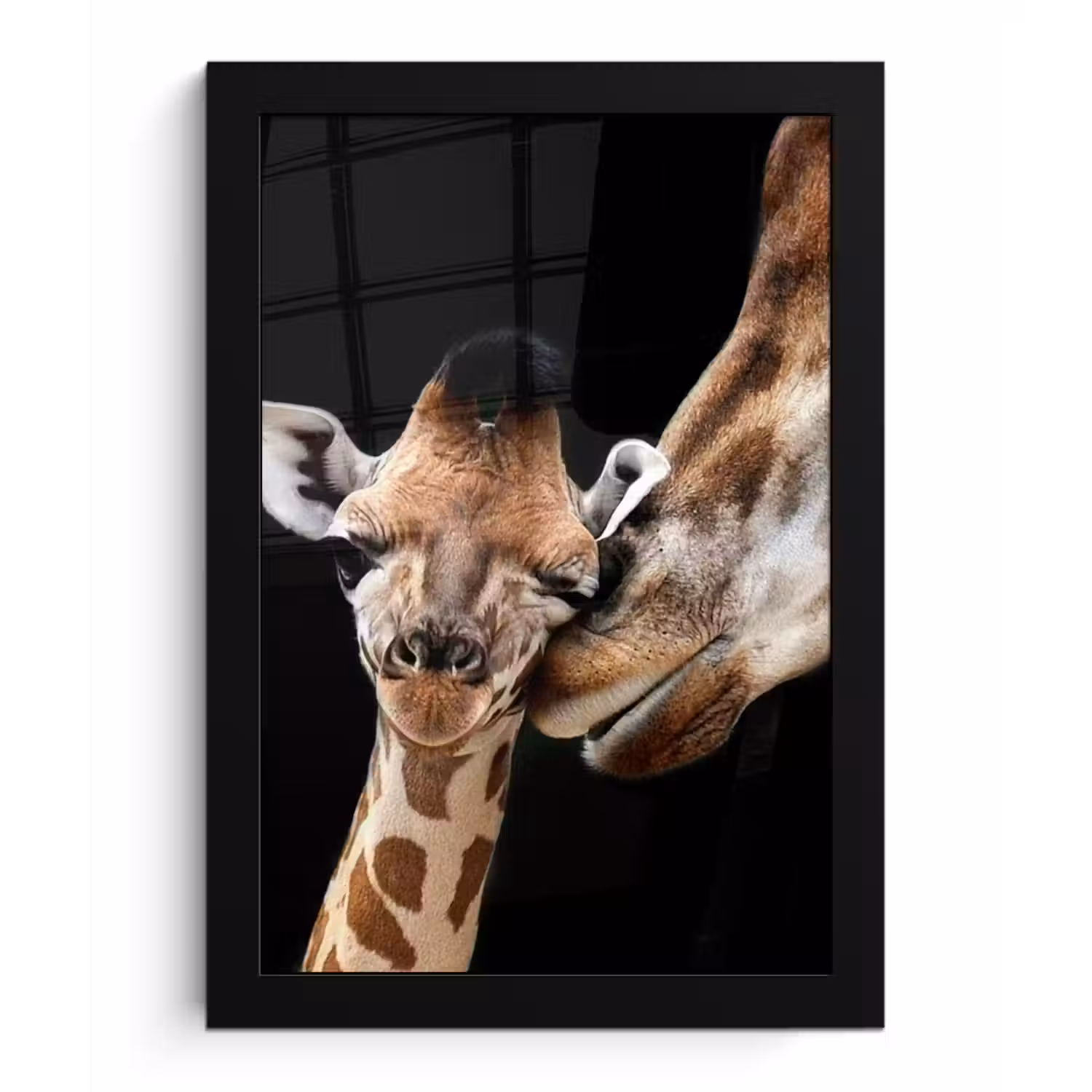 Giraffe - Dieren - Zwart - Portret - Dieren fotolijst zwart zonder passe partout klein -3d